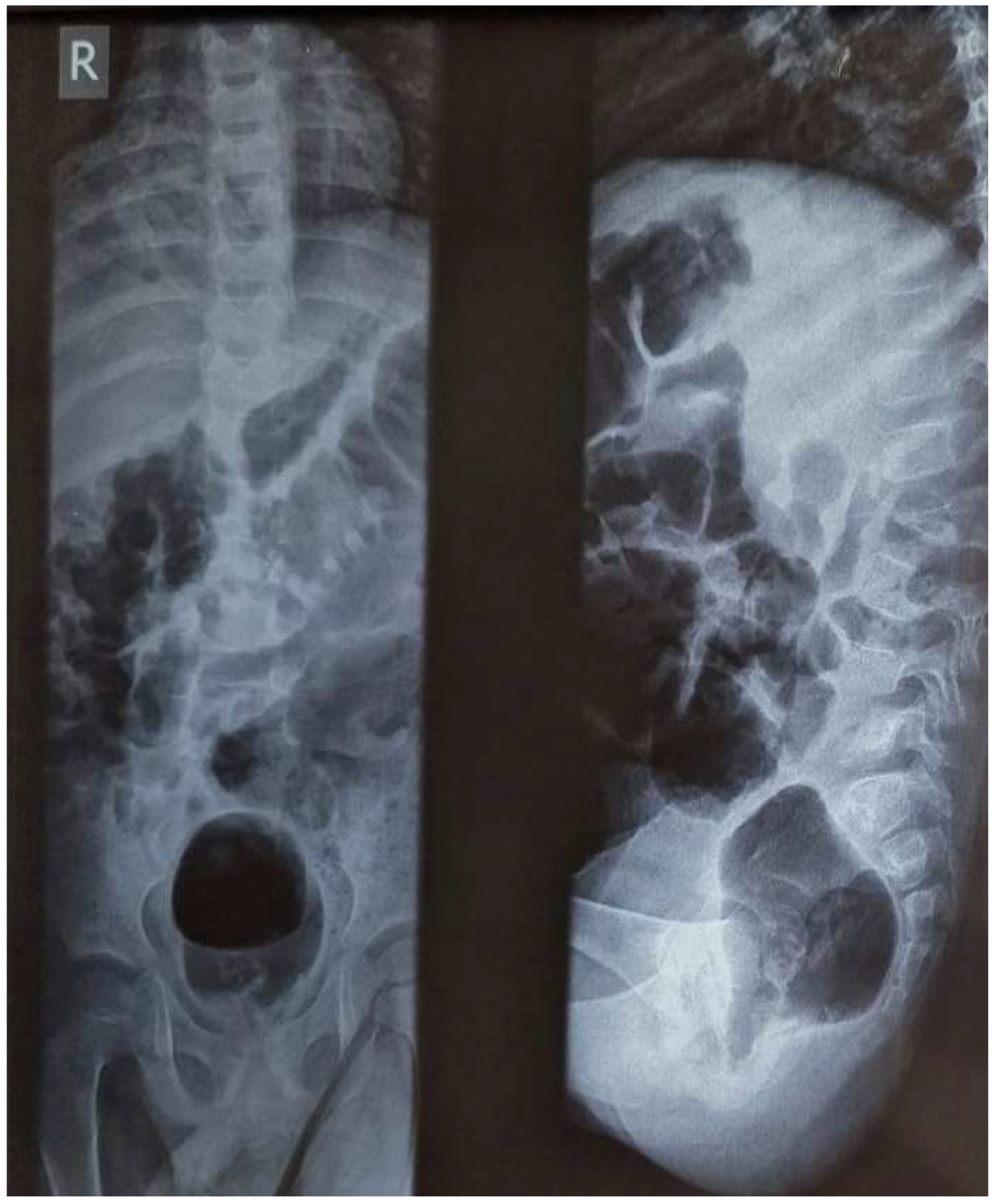 Pathogens 12 01163 g002