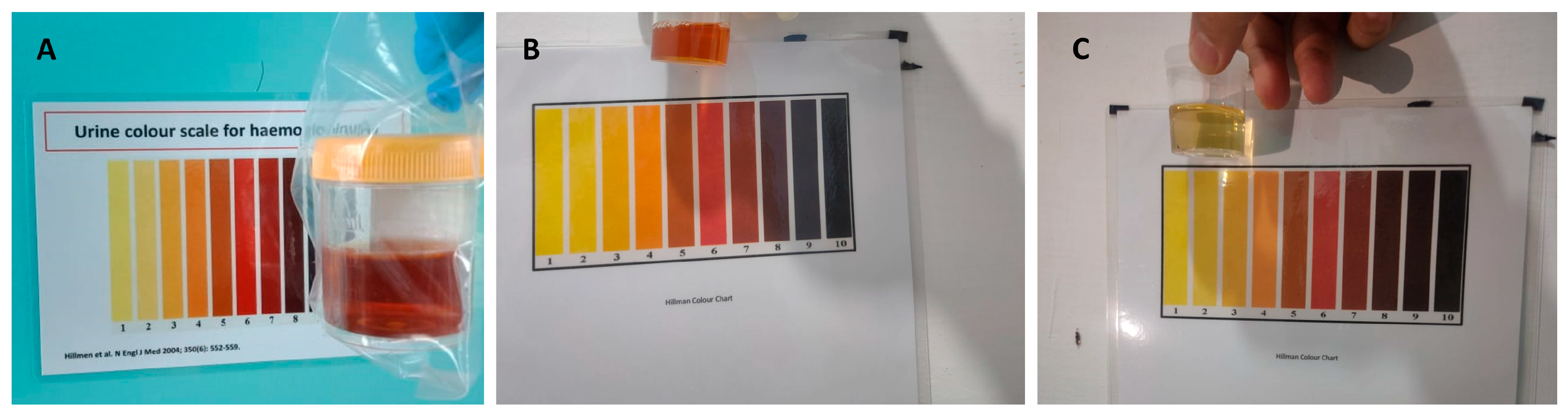 Pathogens 12 01176 g001