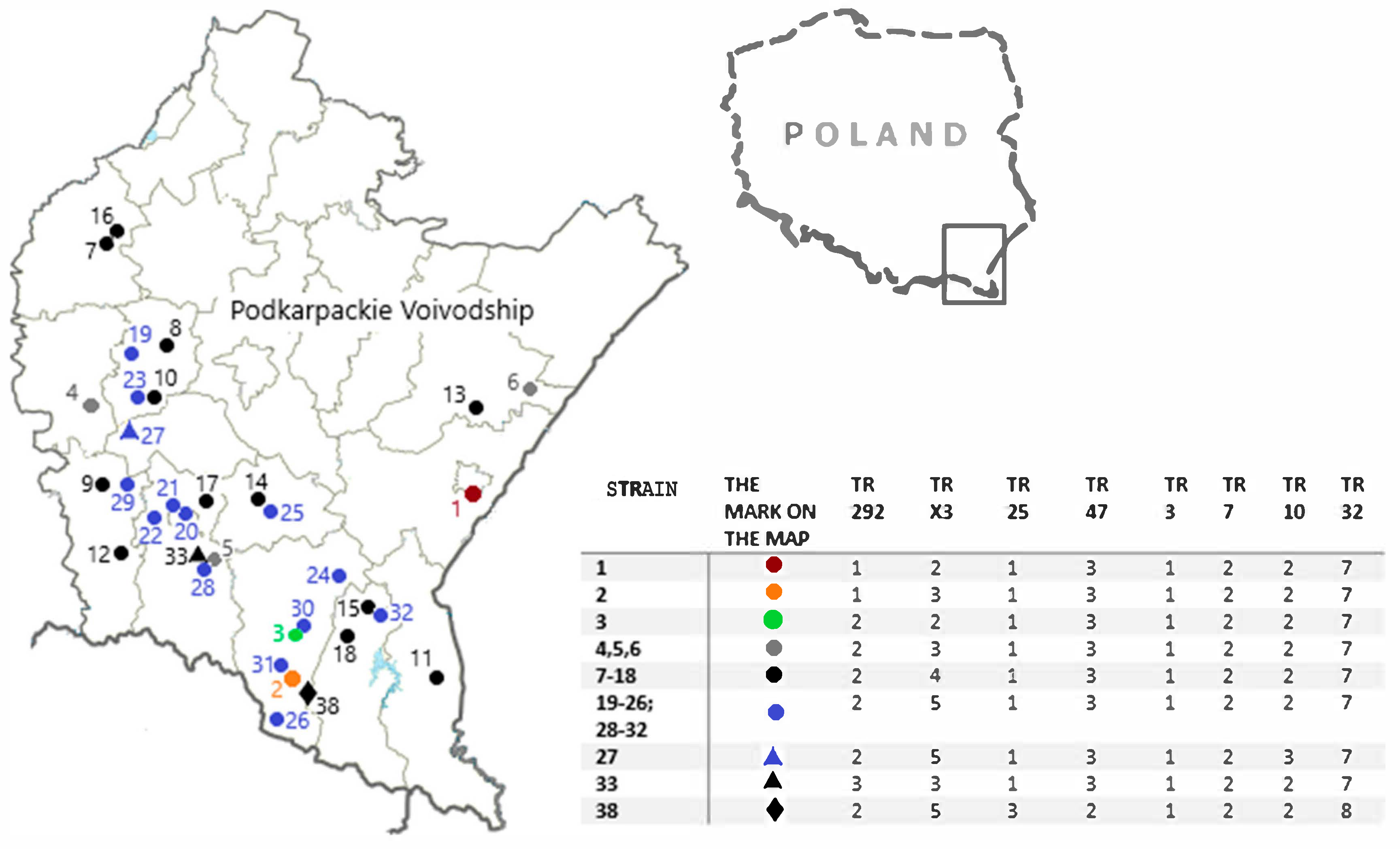 Pathogens 12 01184 g001