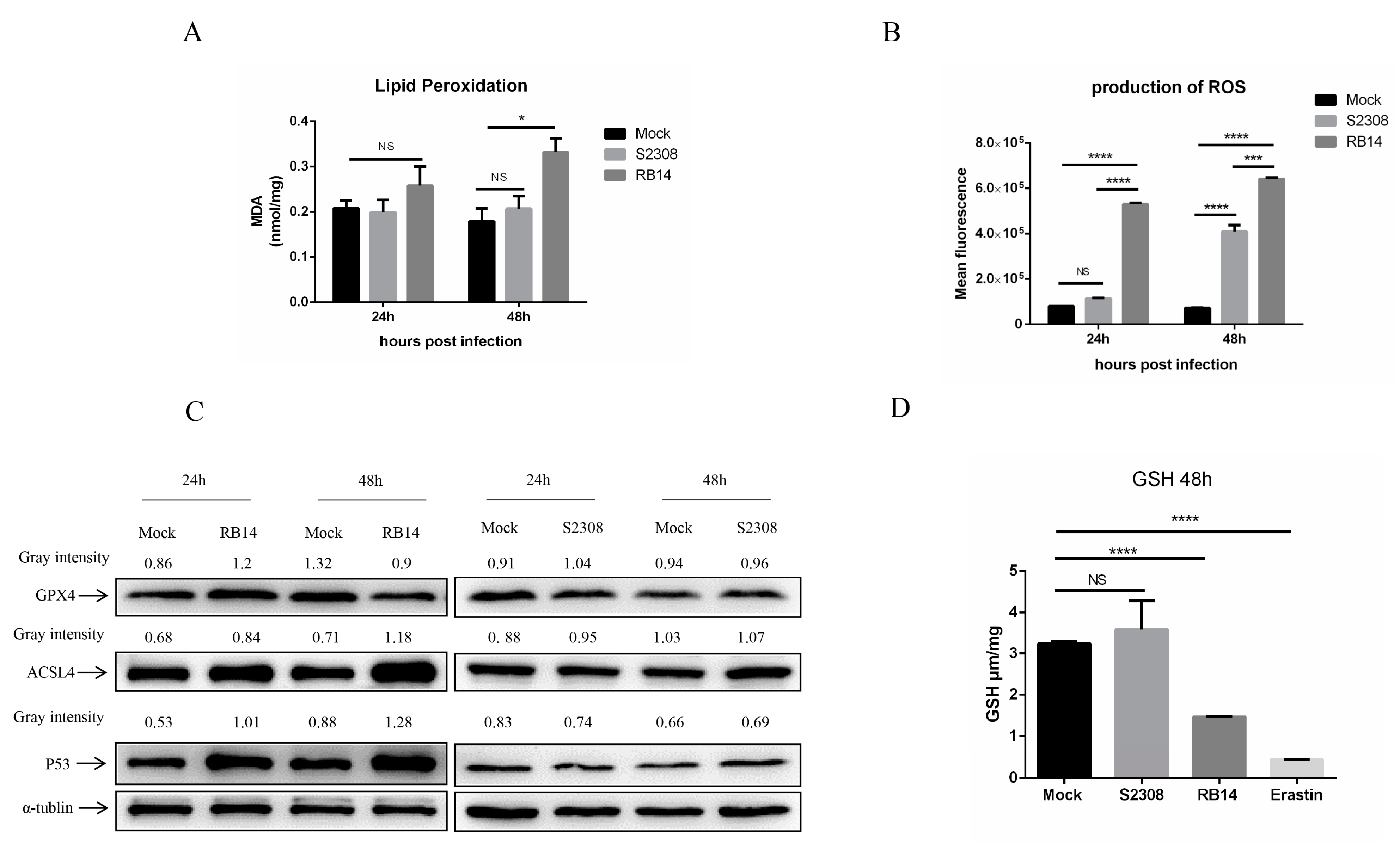 Pathogens 12 01189 g004 Pathogens 12 01189 g004