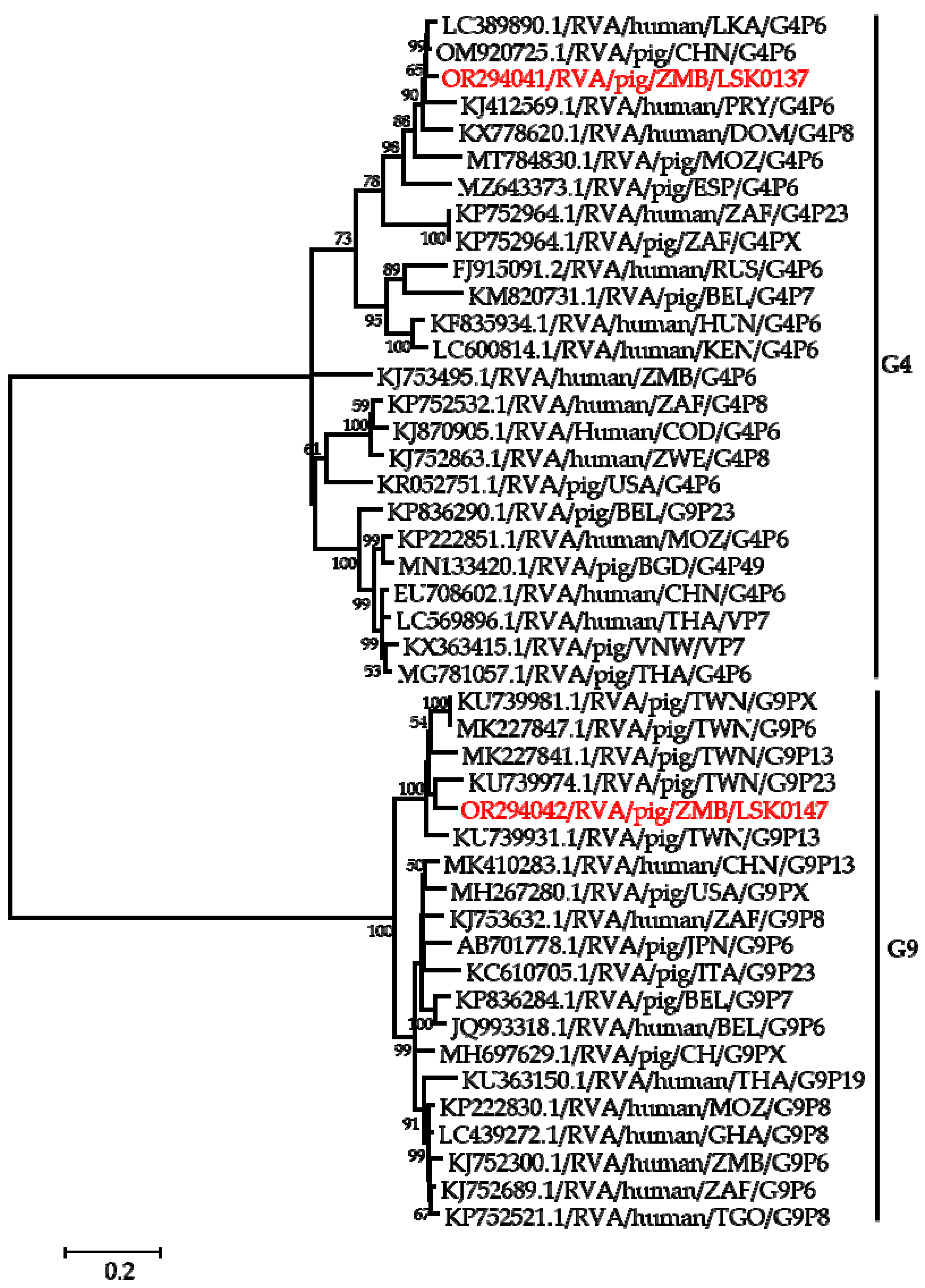 Pathogens 12 01199 g002 Pathogens 12 01199 g002