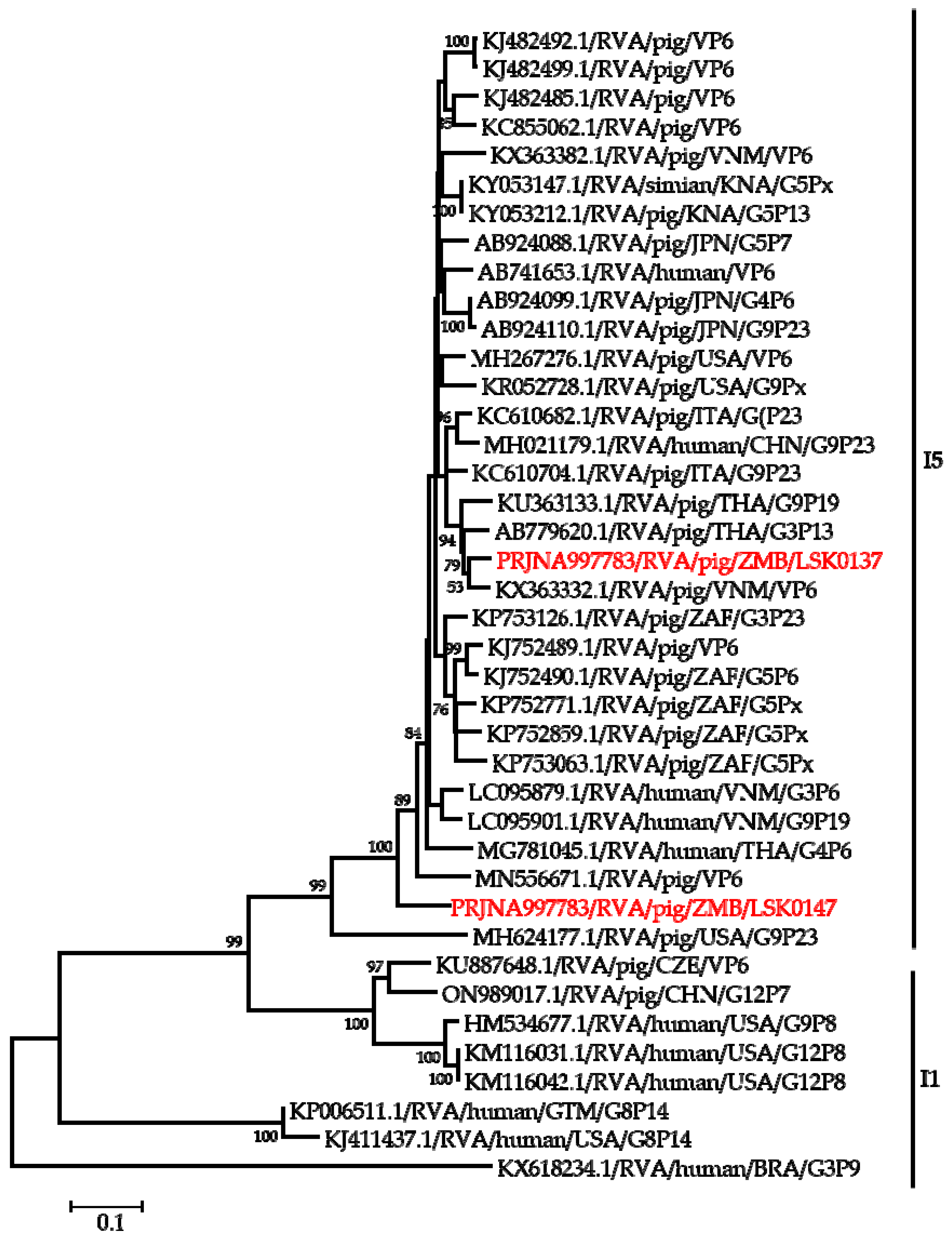 Pathogens 12 01199 g003 Pathogens 12 01199 g003