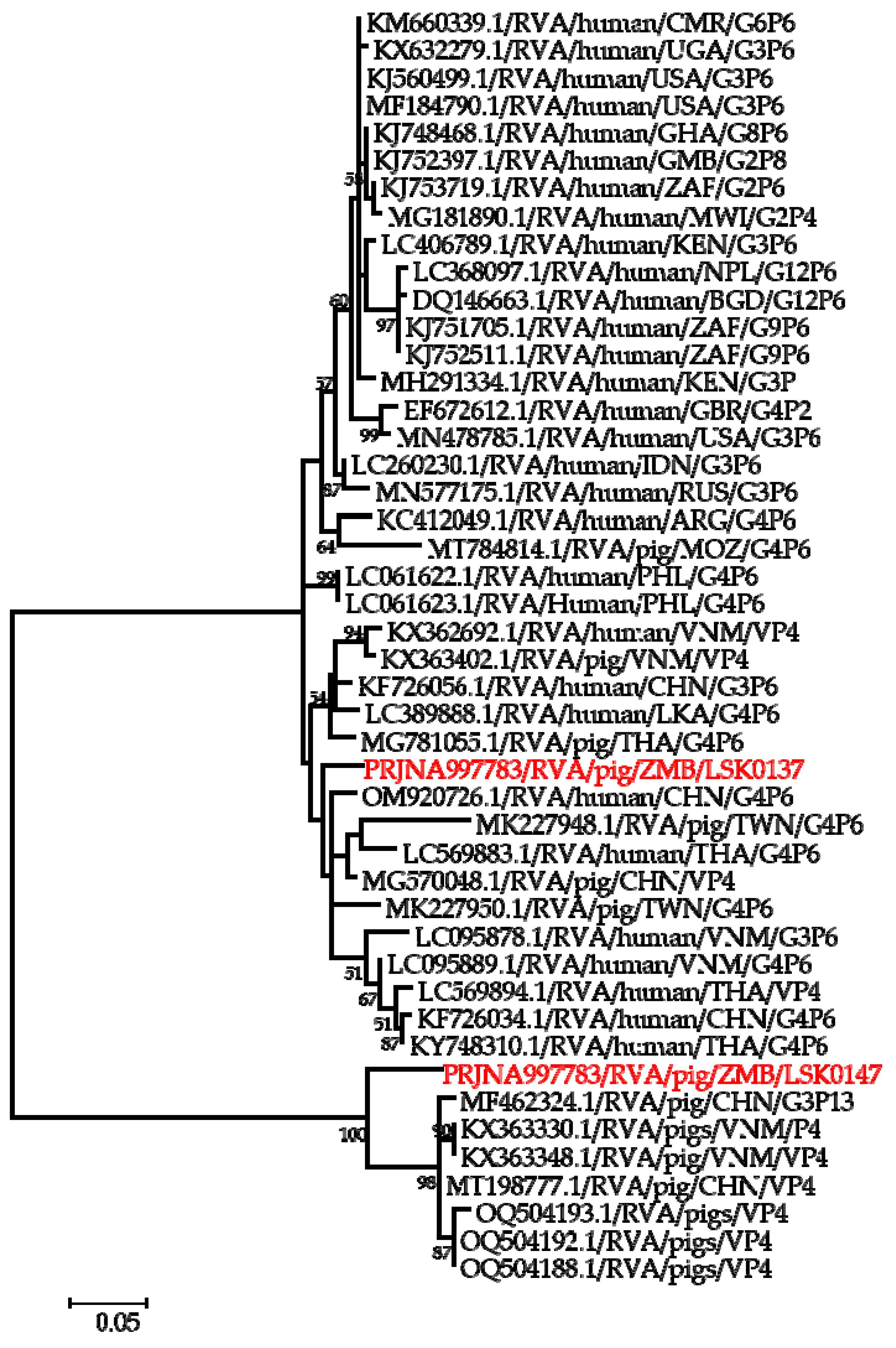 Pathogens 12 01199 g004 Pathogens 12 01199 g004