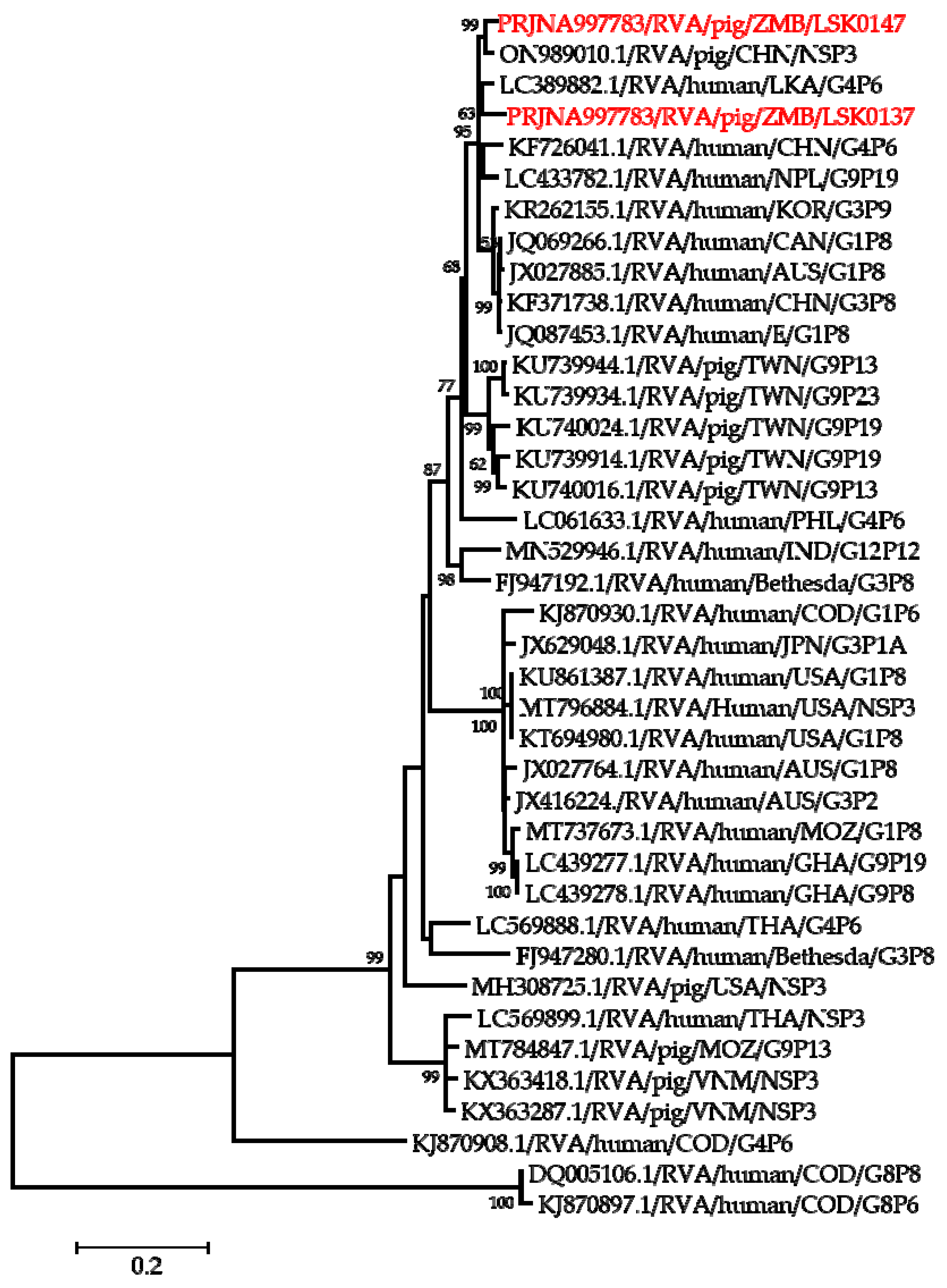 Pathogens 12 01199 g005 Pathogens 12 01199 g005