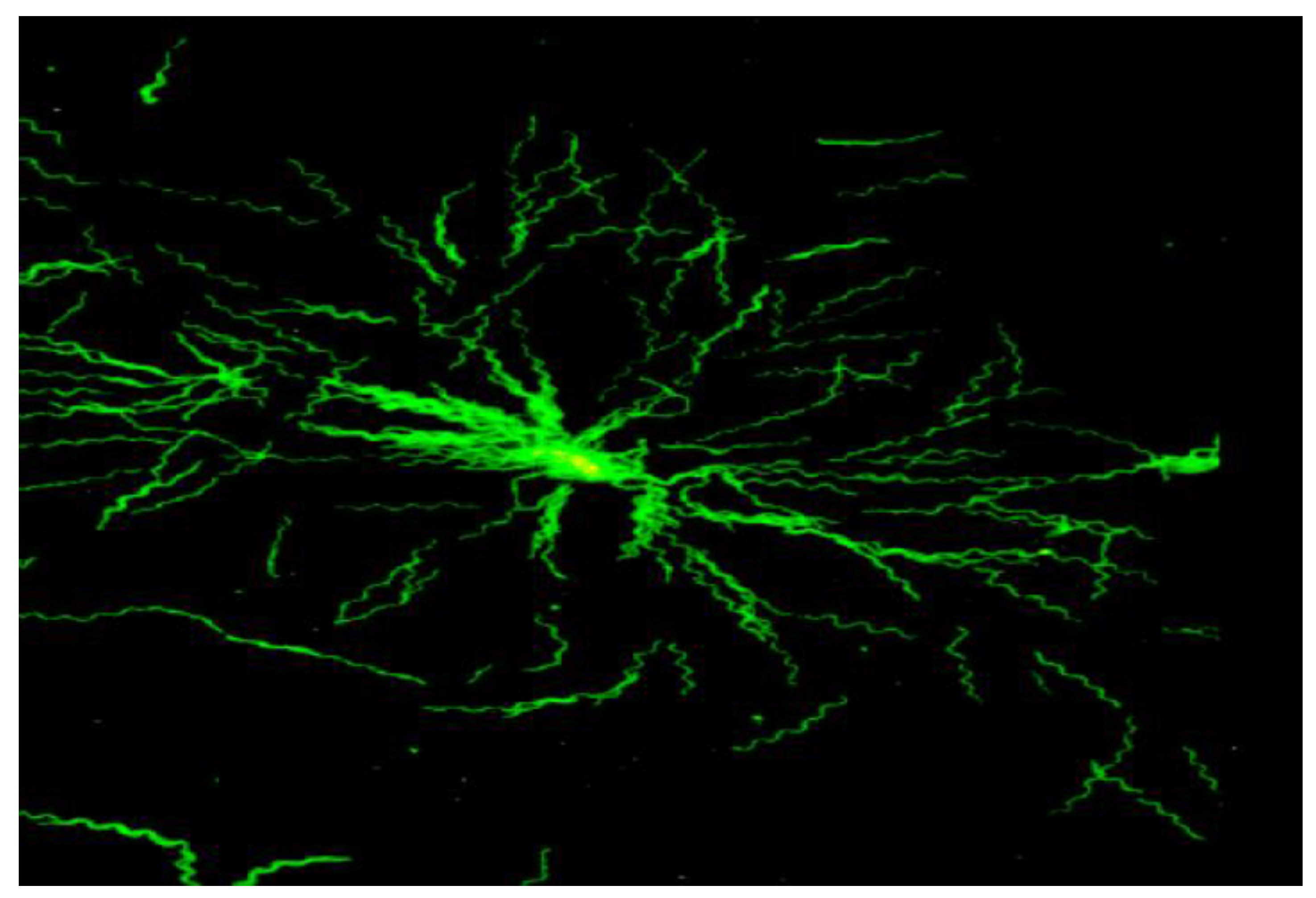 Pathogens 12 01204 g001