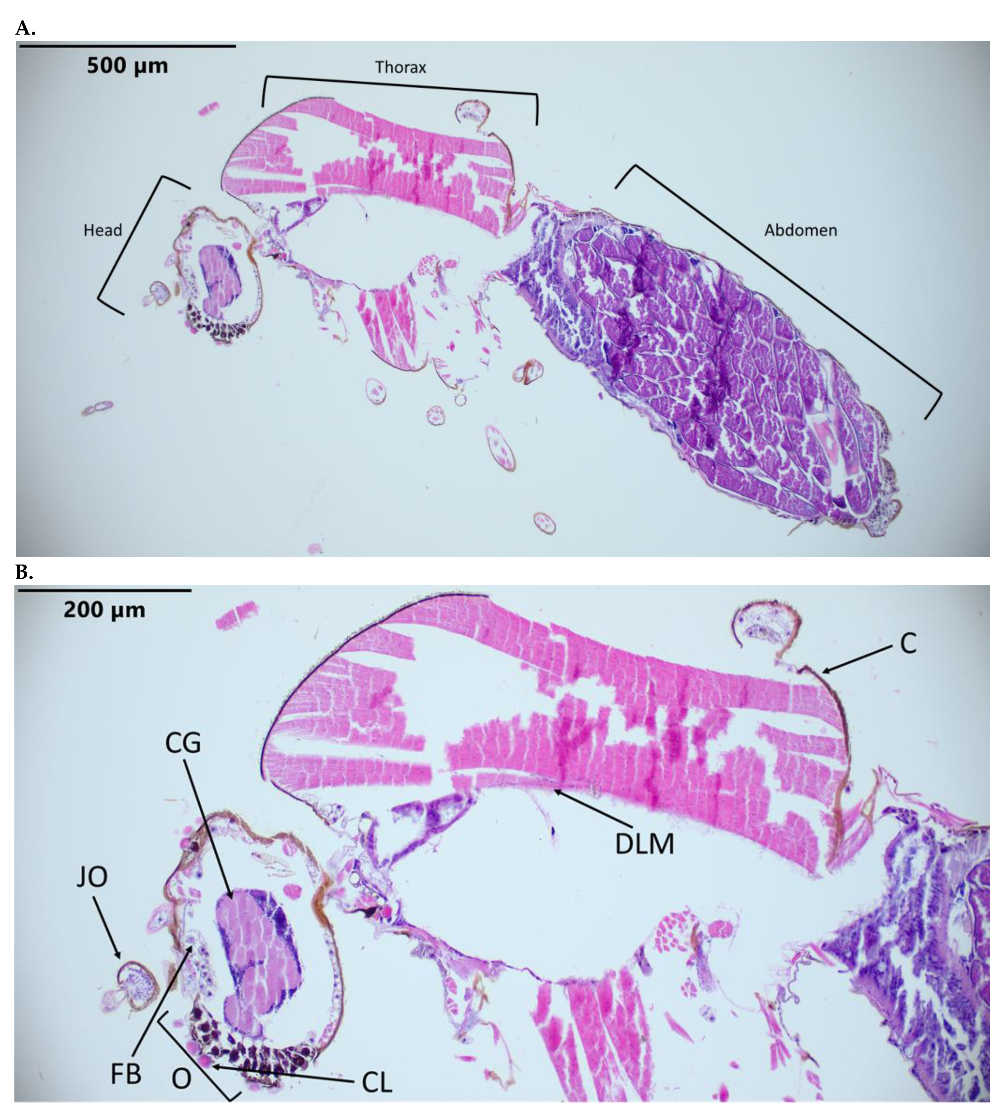 Pathogens 12 01207 g001