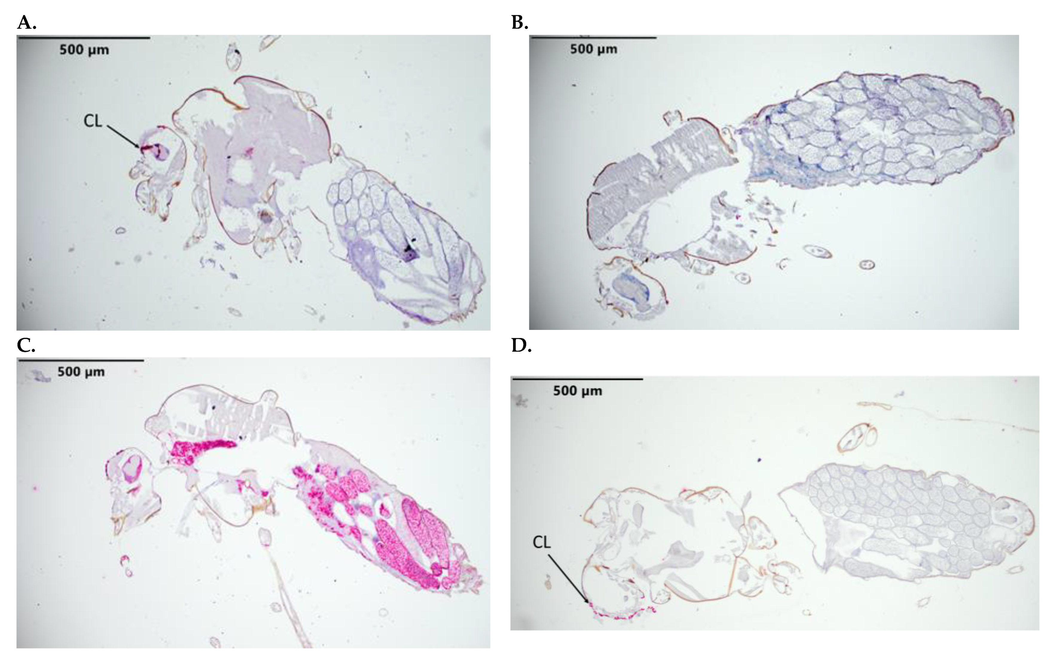 Pathogens 12 01207 g002