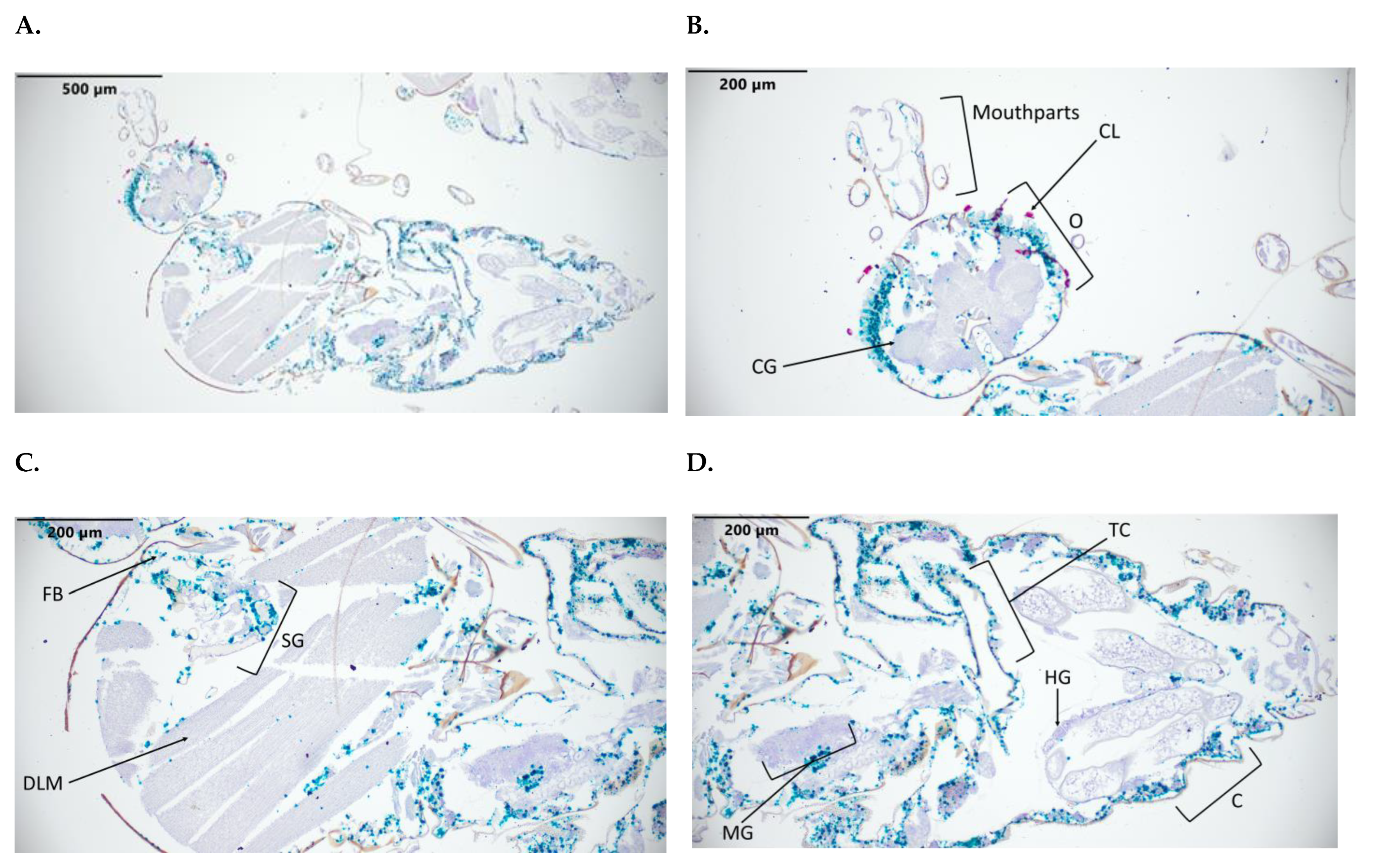 Pathogens 12 01207 g003a