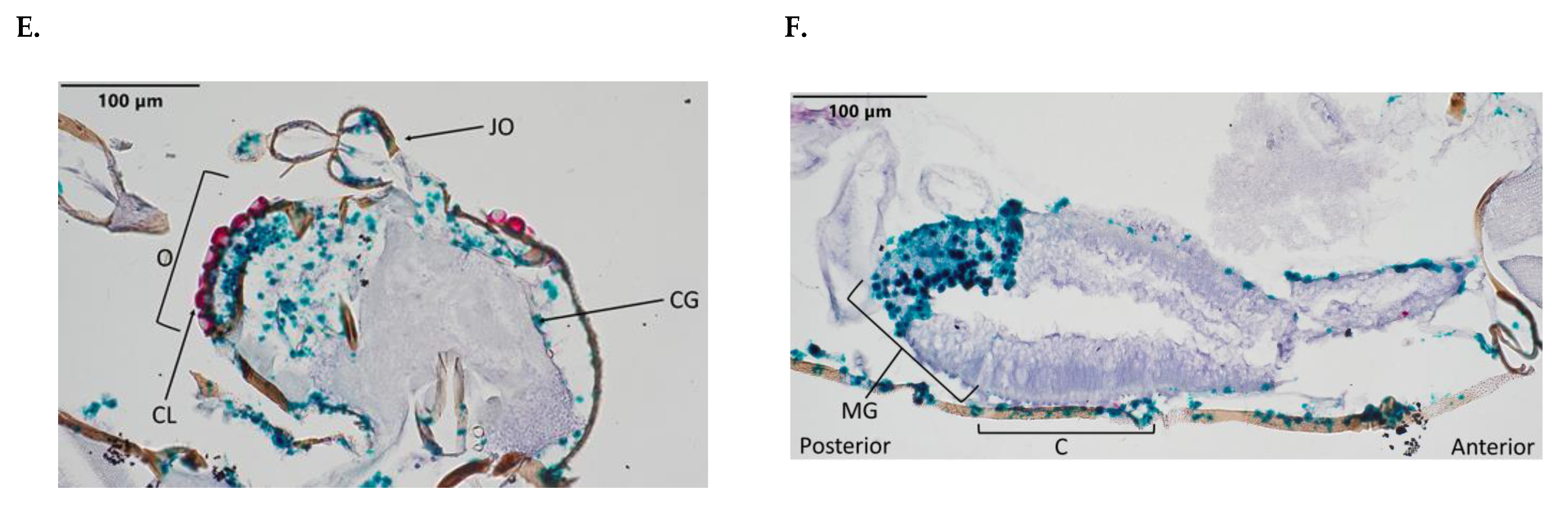 Pathogens 12 01207 g003b