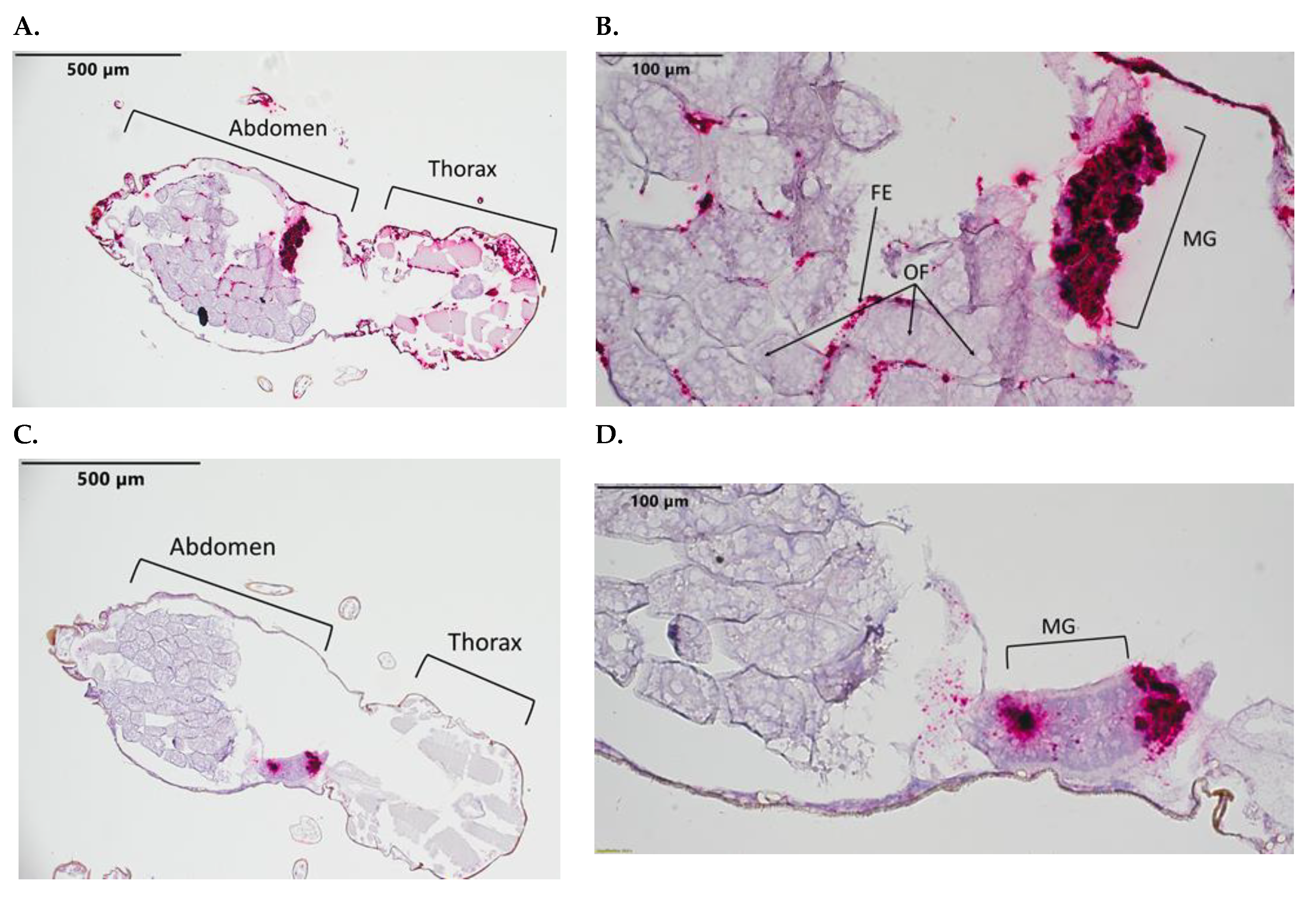 Pathogens 12 01207 g004