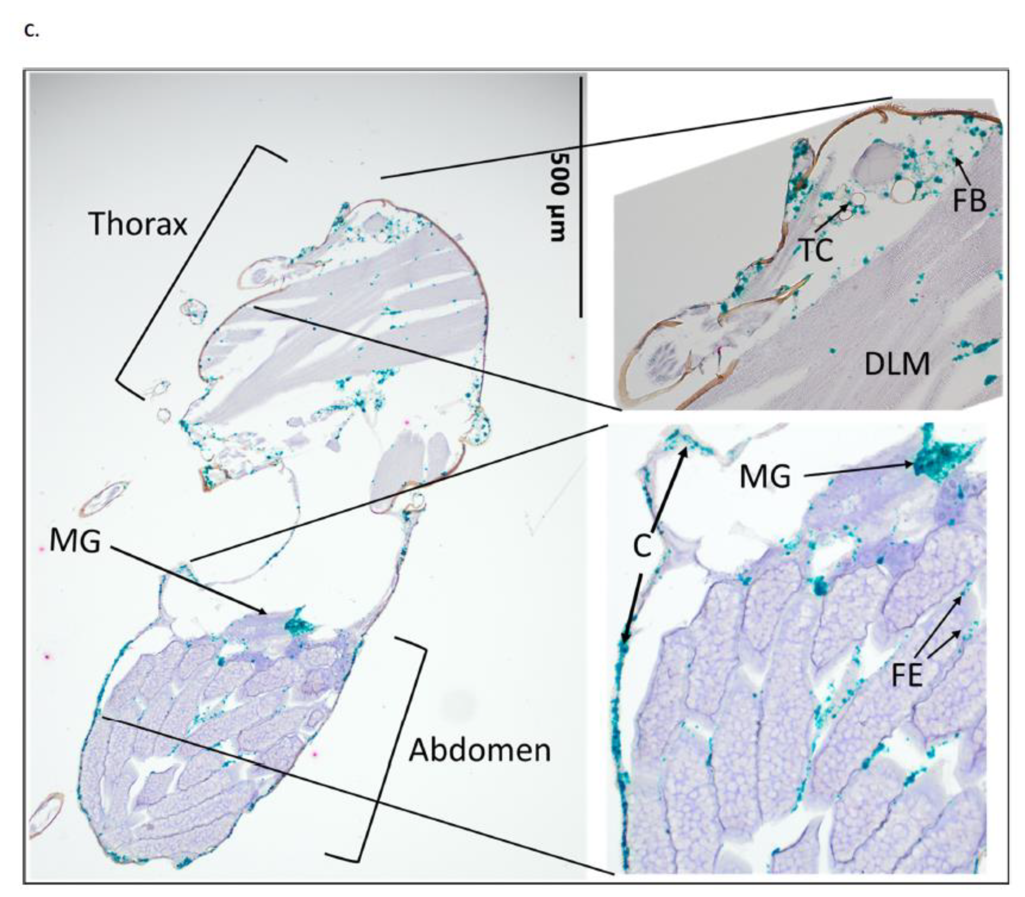 Pathogens 12 01207 g005c