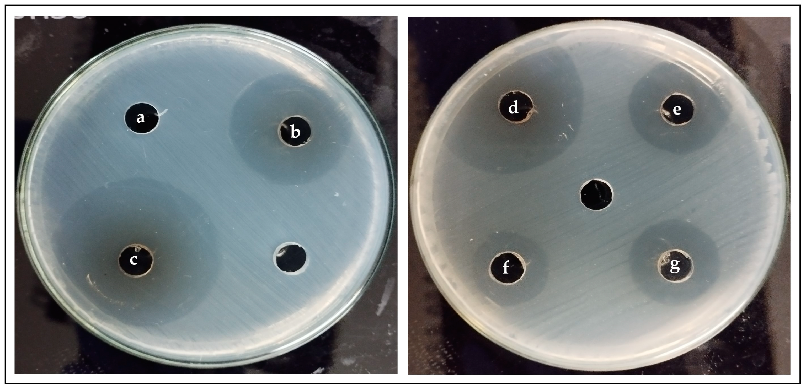 Pathogens 12 01223 g005