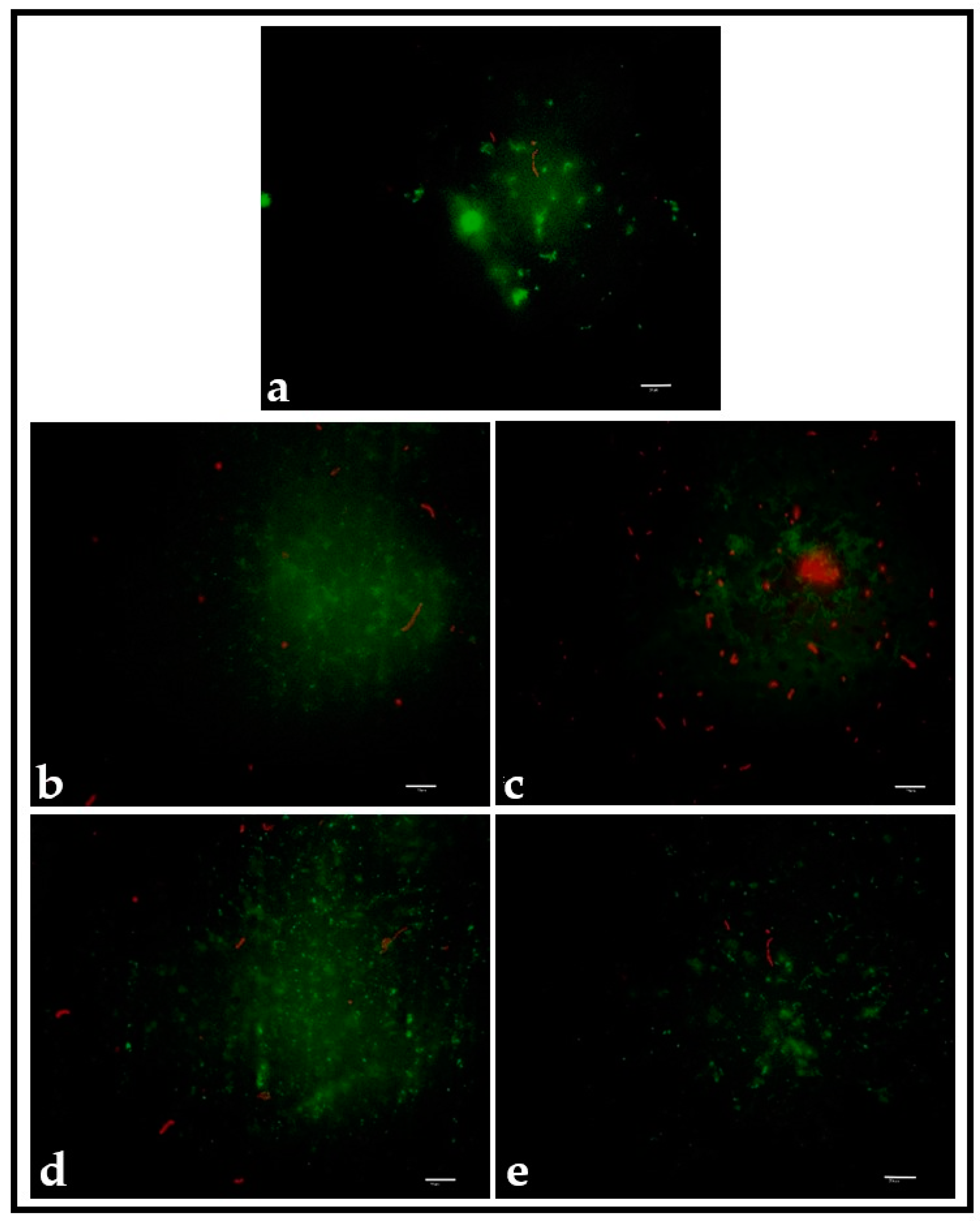 Pathogens 12 01223 g007