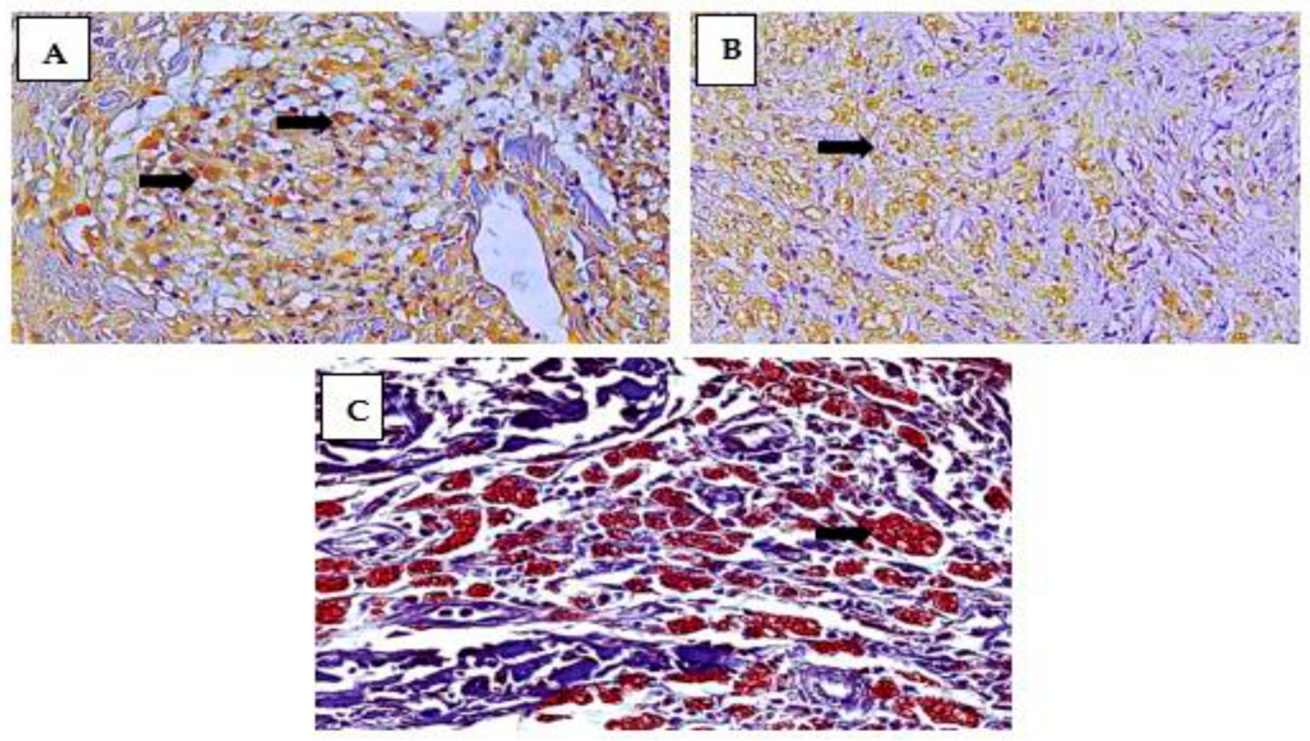 Pathogens 12 01225 g001
