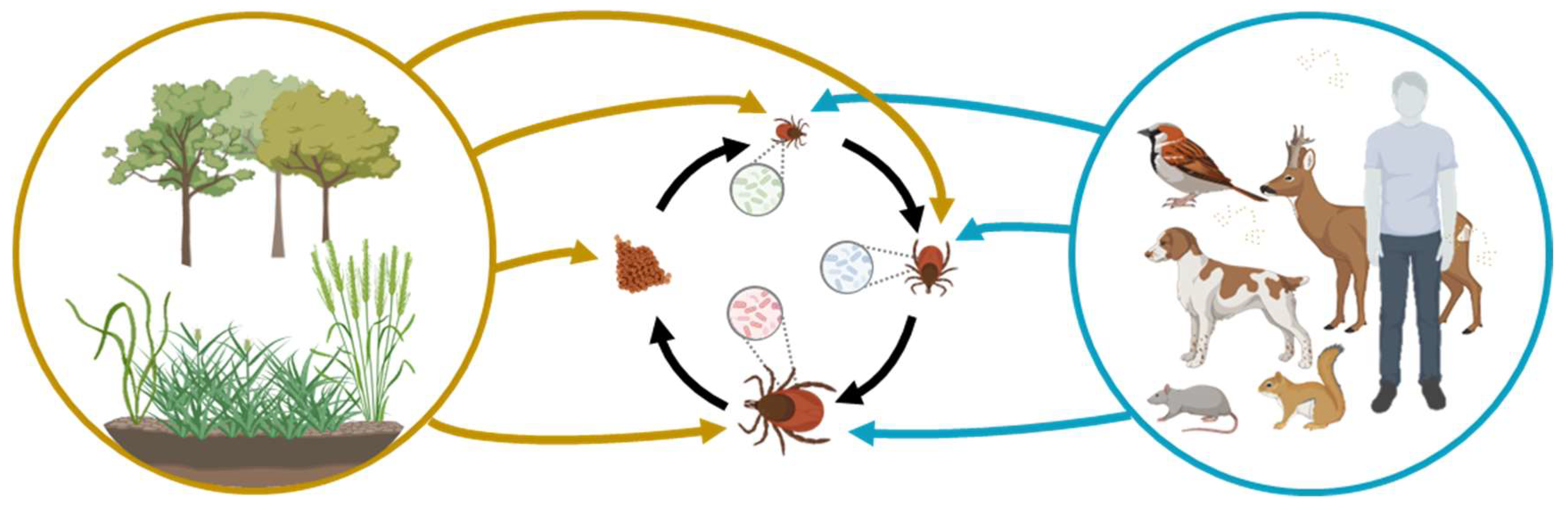 Pathogens 12 01229 g001
