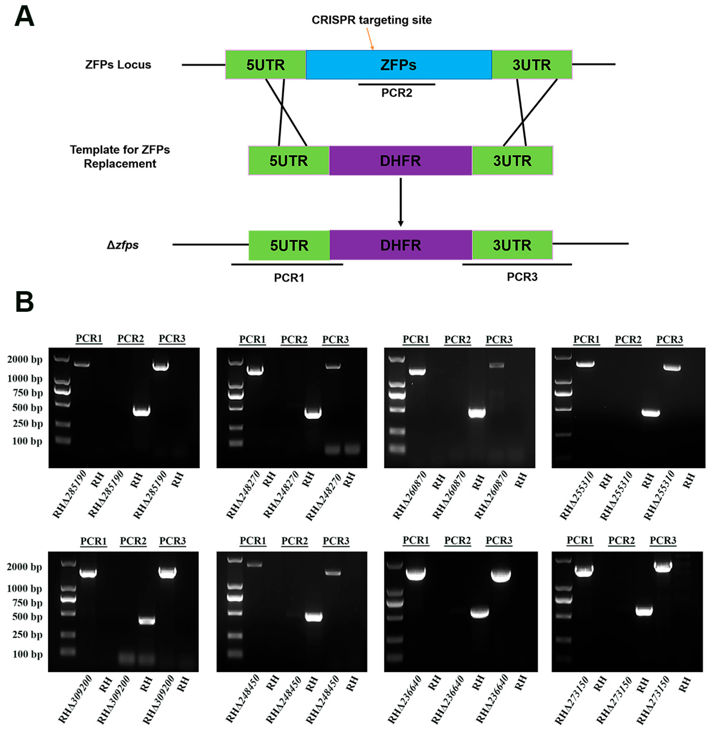 Pathogens 12 01232 g003