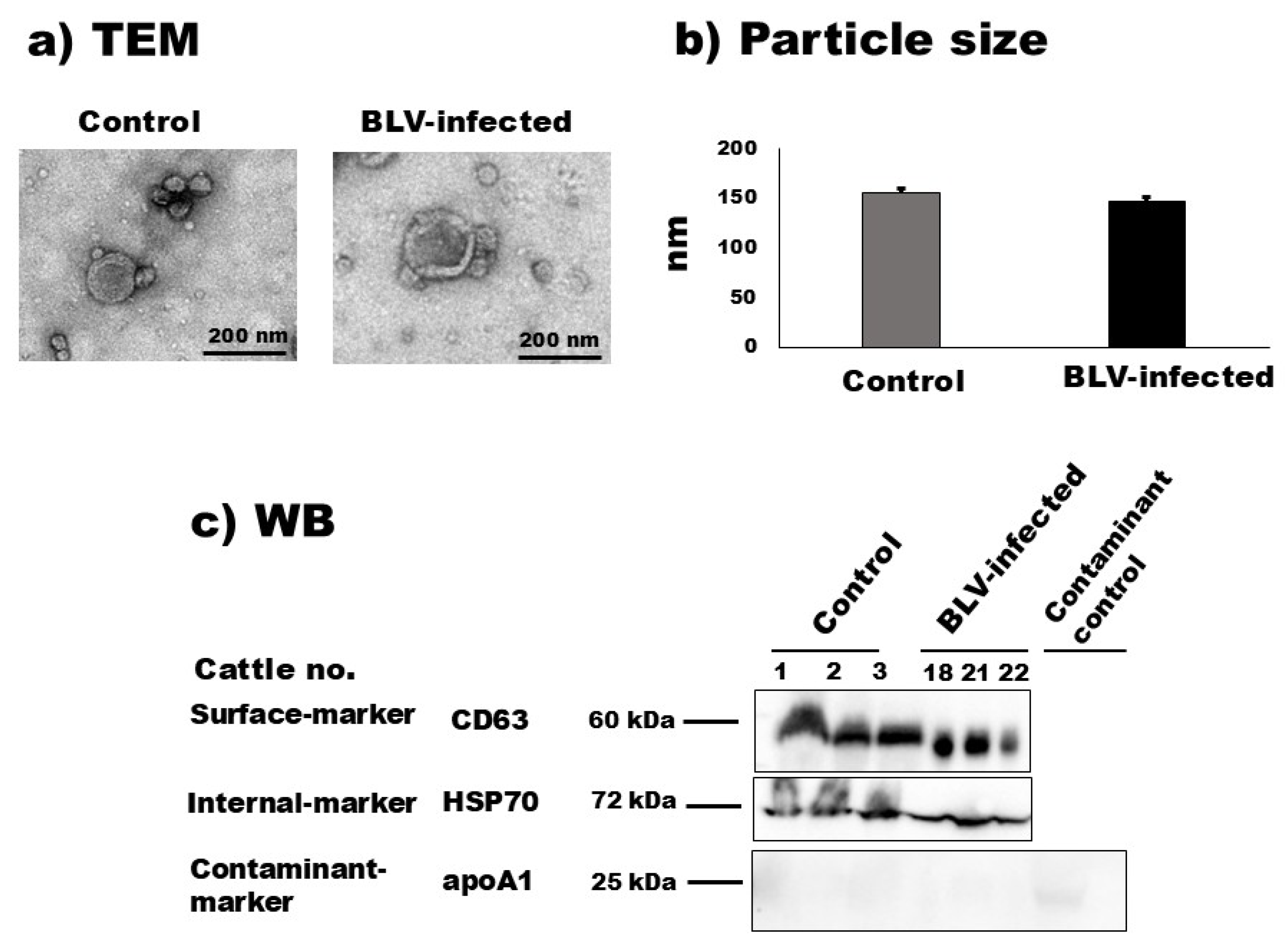 Pathogens 12 01239 g001