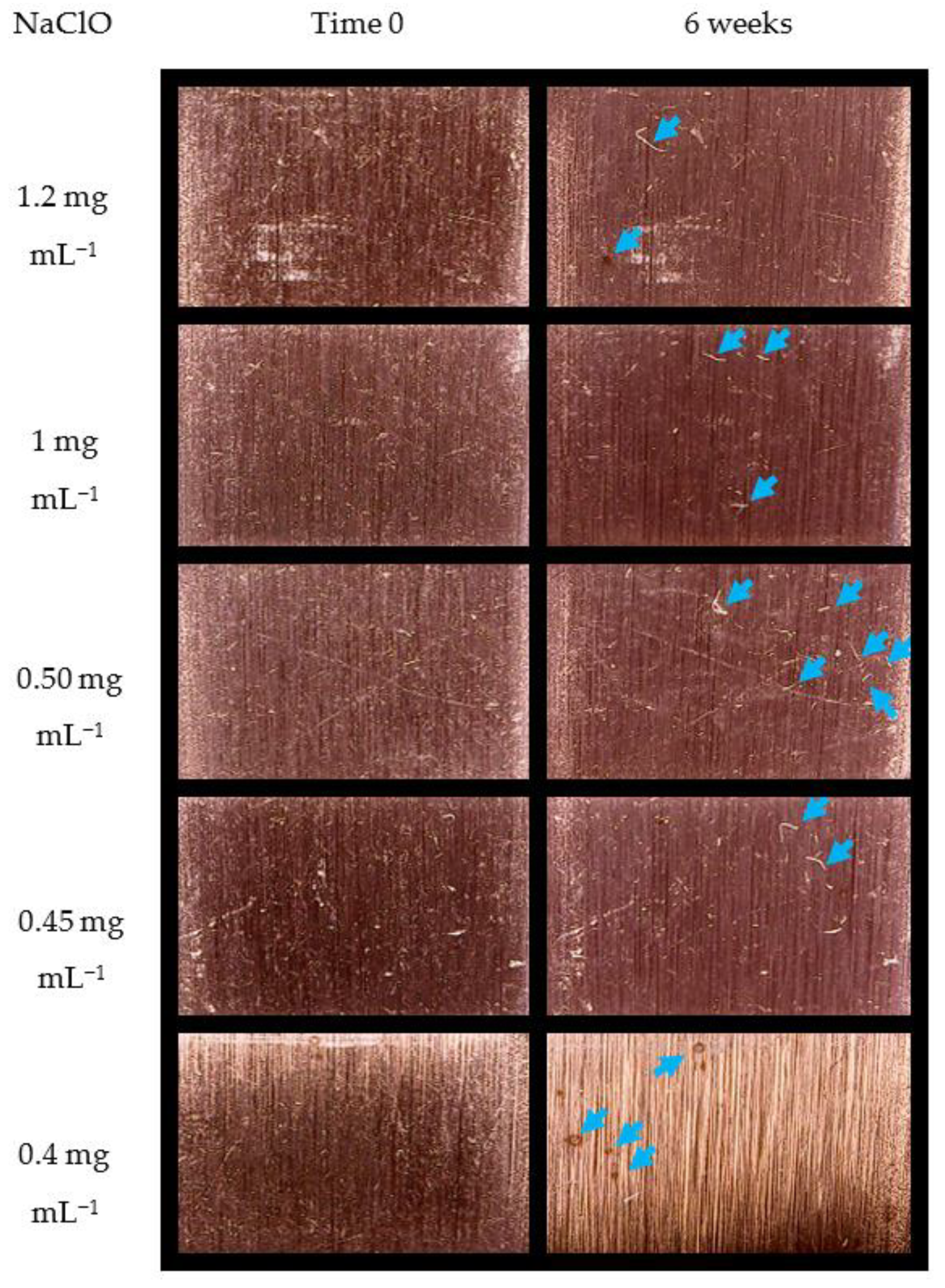 Pathogens 12 01245 g005