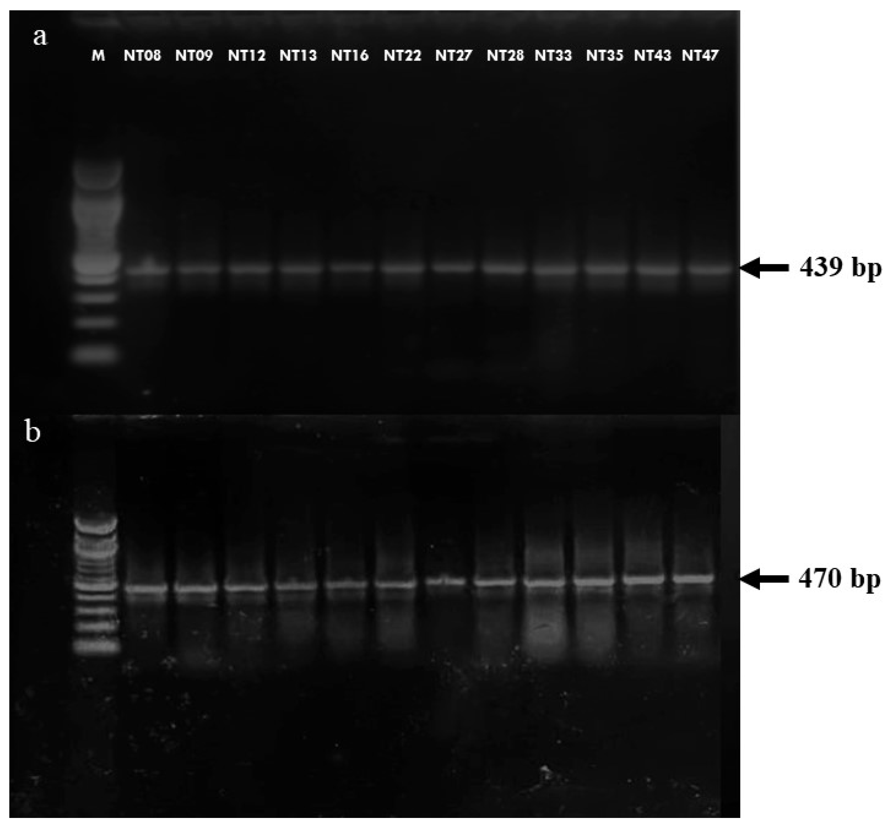 Pathogens 12 01249 g002