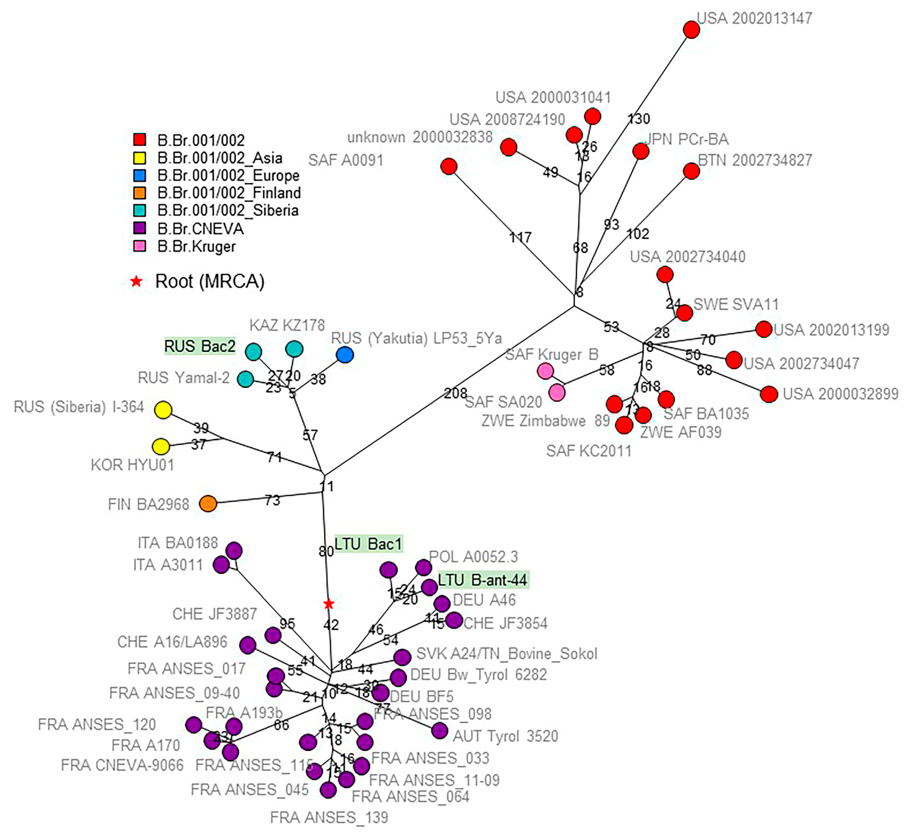 Pathogens 12 01257 g002