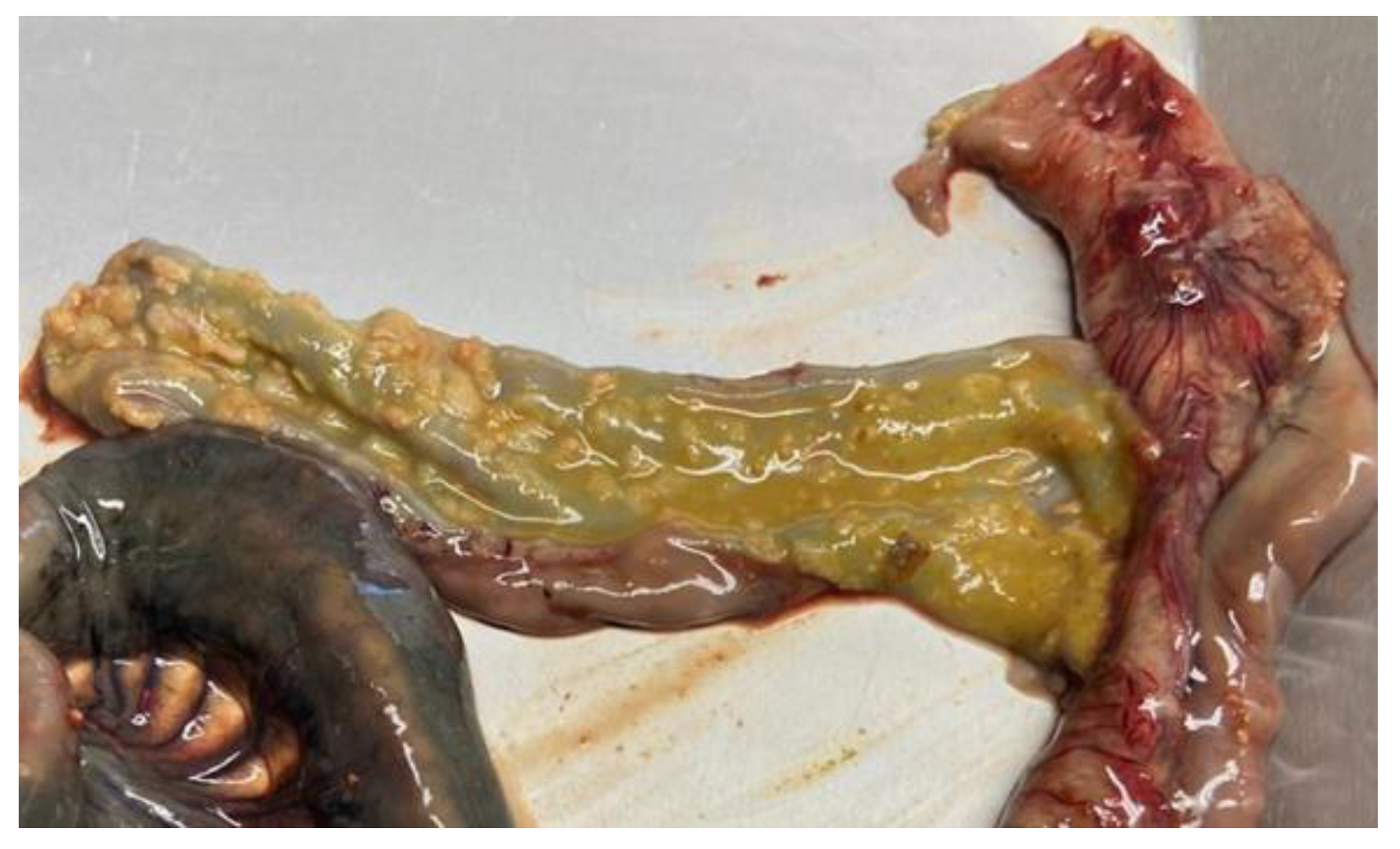 Pathogens 12 01267 g002