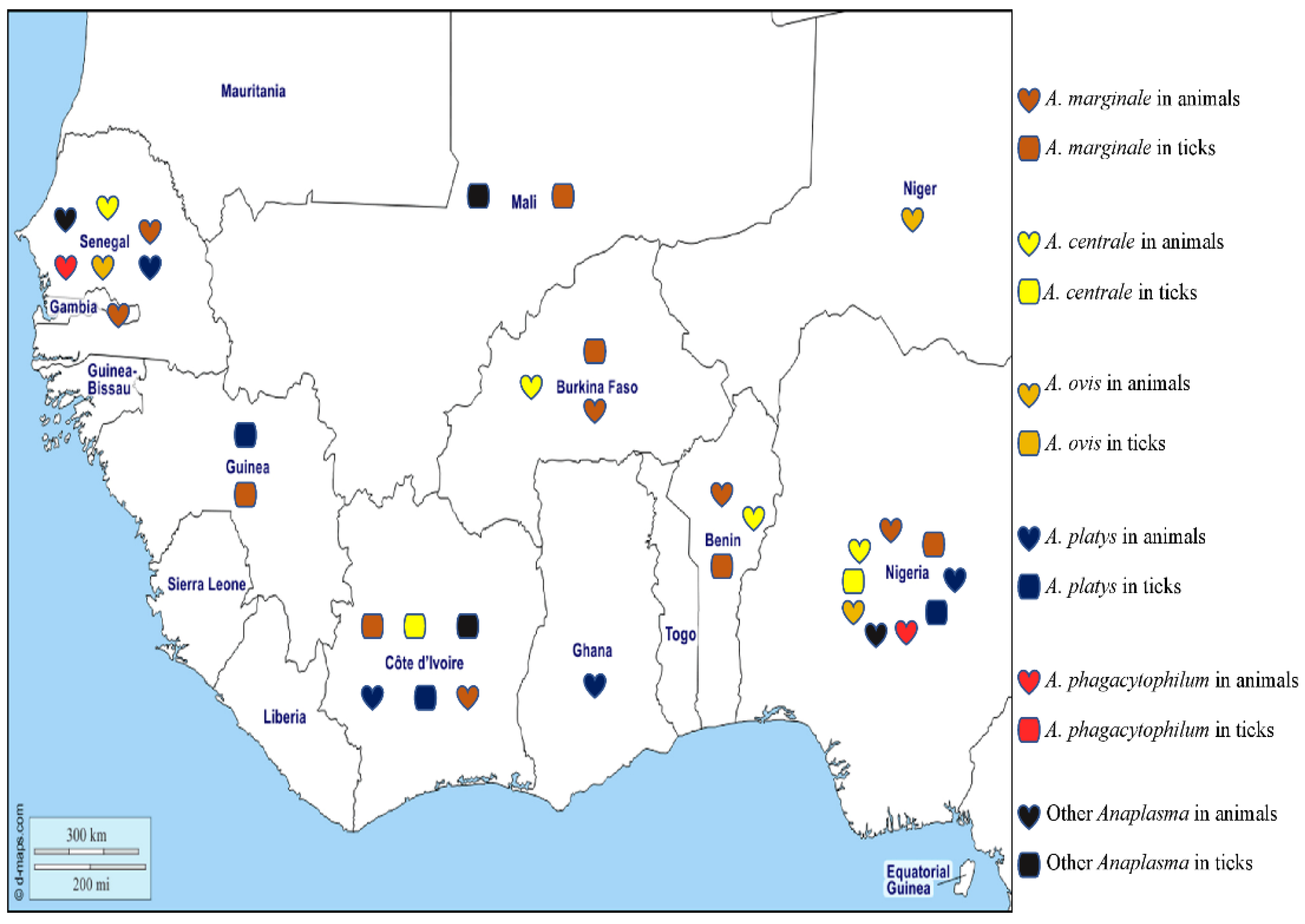 Pathogens 12 01276 g004