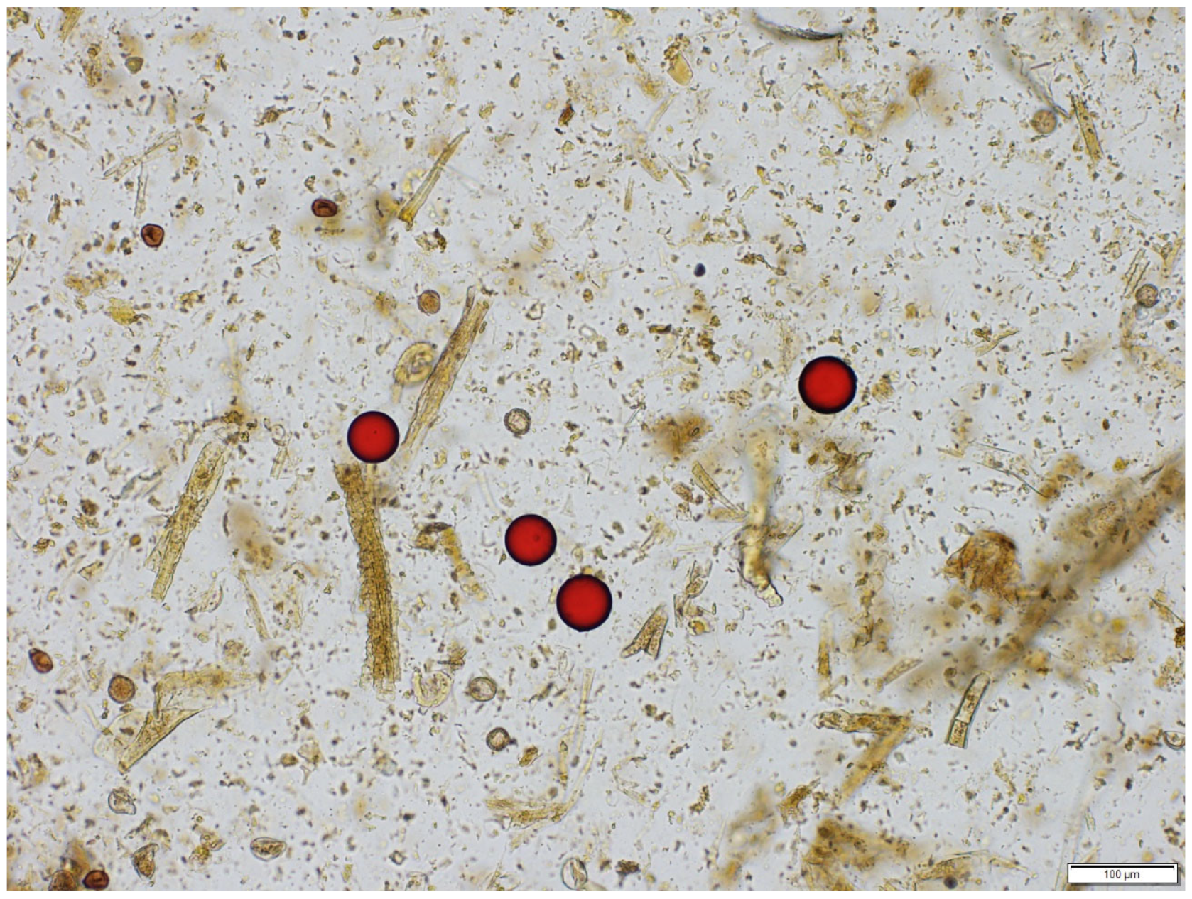 Pathogens 12 01283 g001