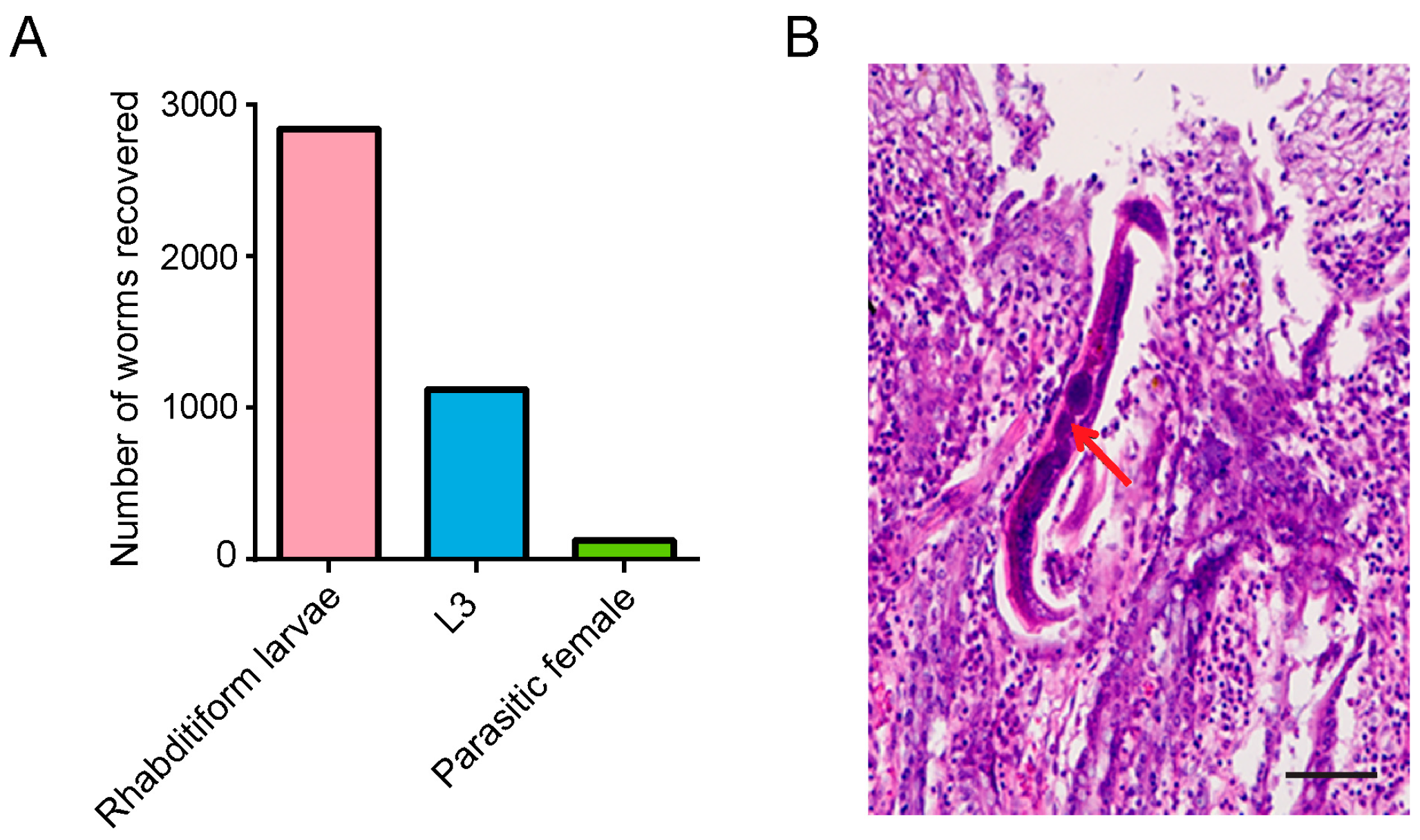 Pathogens 12 01285 g002