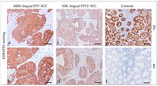 Pathogens 12 01288 g001