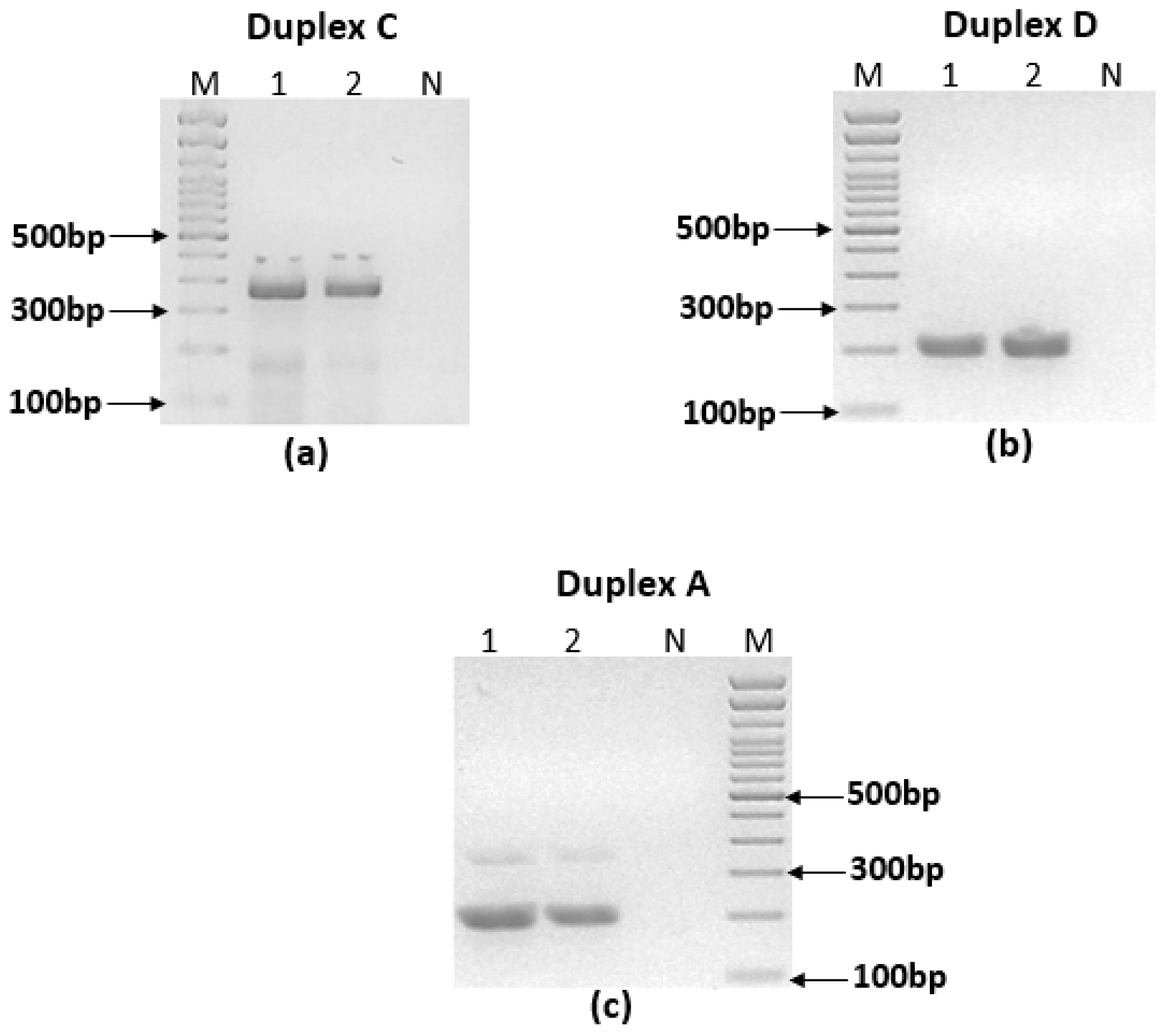 Pathogens 12 01292 g004