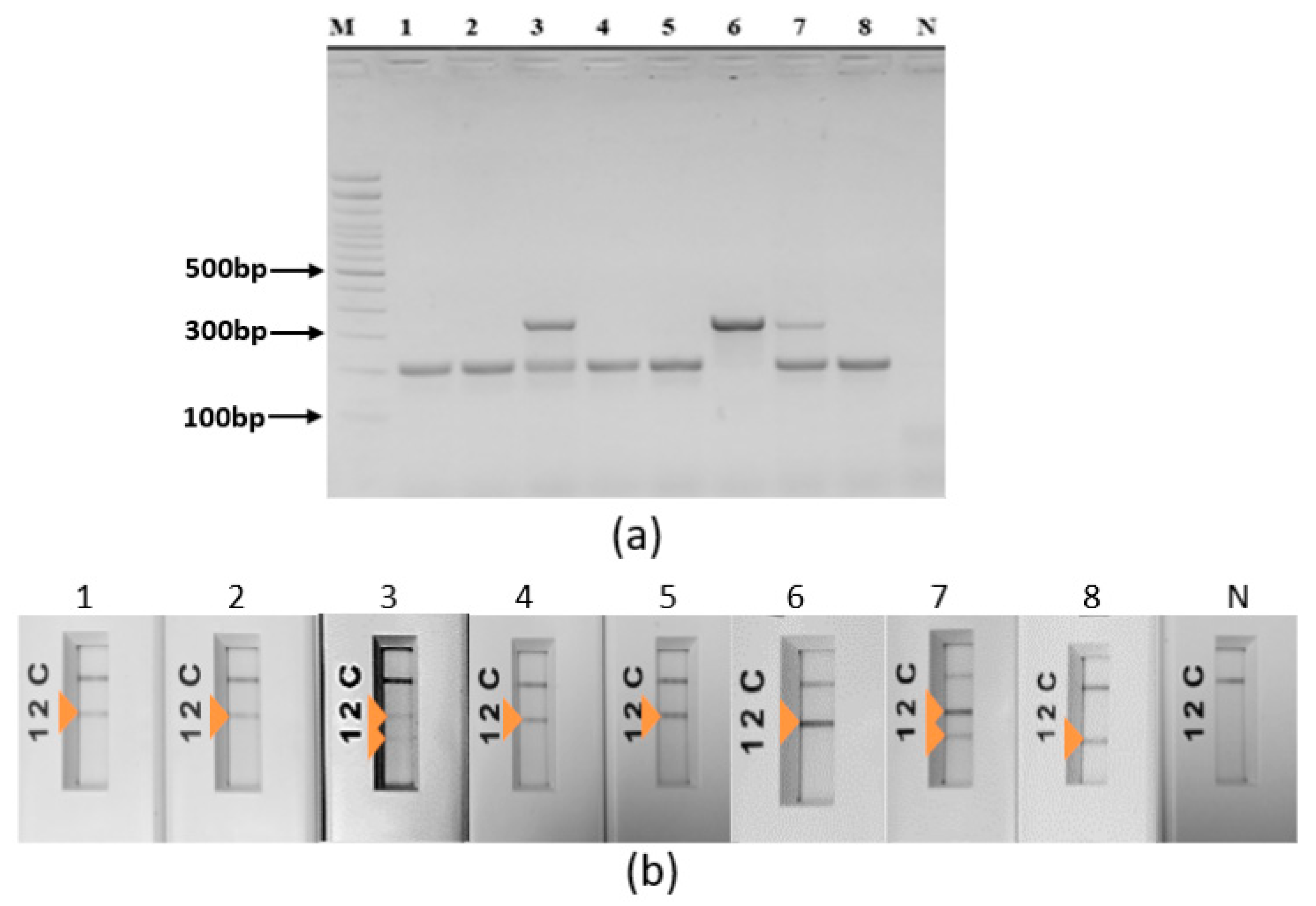 Pathogens 12 01292 g007