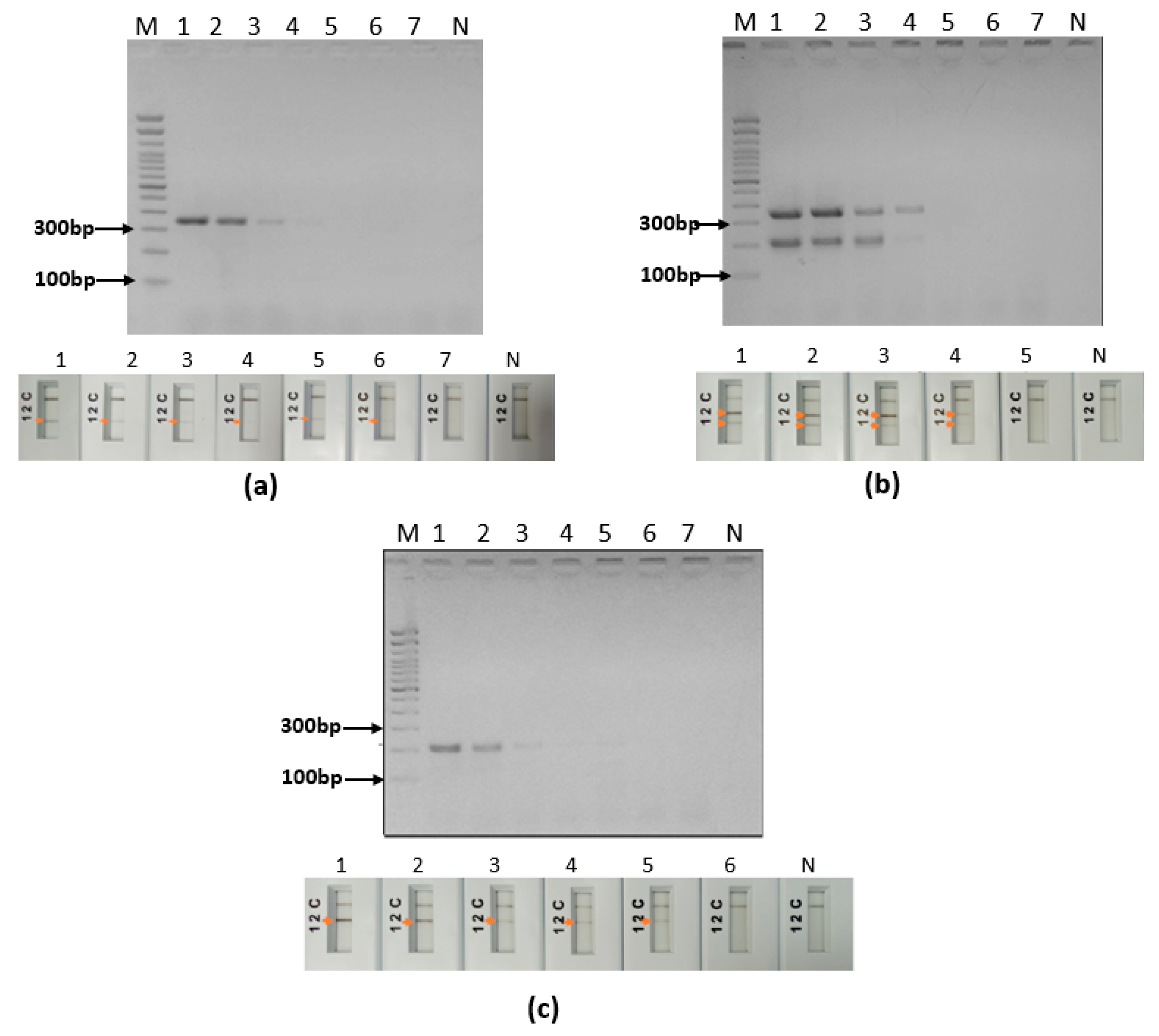 Pathogens 12 01292 g008