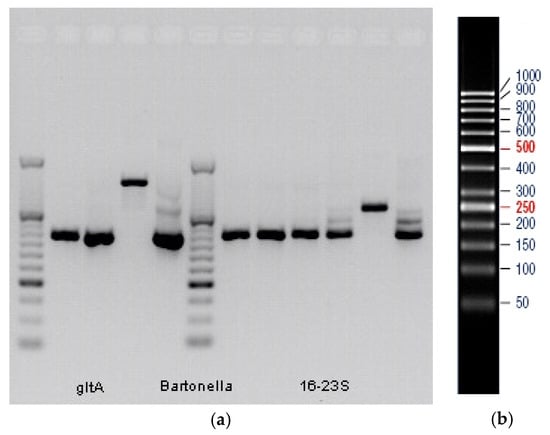 Pathogens 12 01299 g0a1