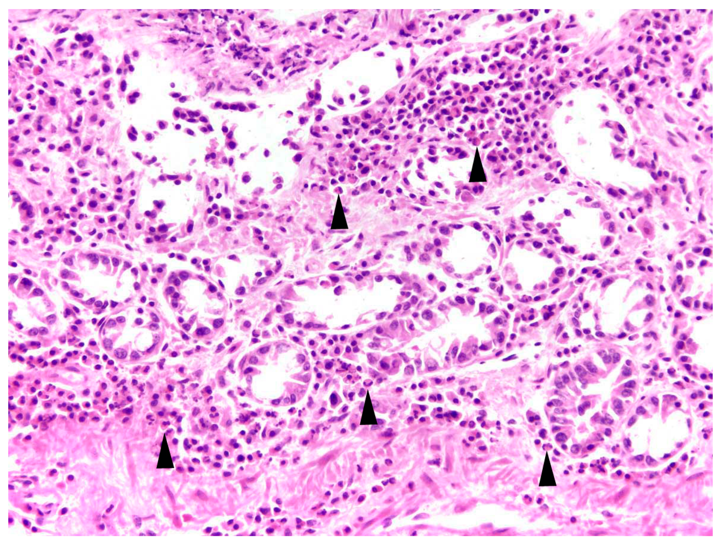 Pathogens 12 01317 g008