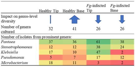 Pathogens 12 01322 g004a Pathogens 12 01322 g004a