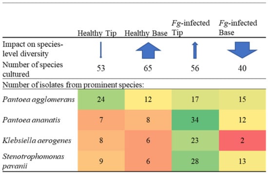 Pathogens 12 01322 g004b