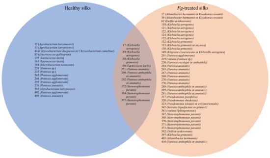 Pathogens 12 01322 g008