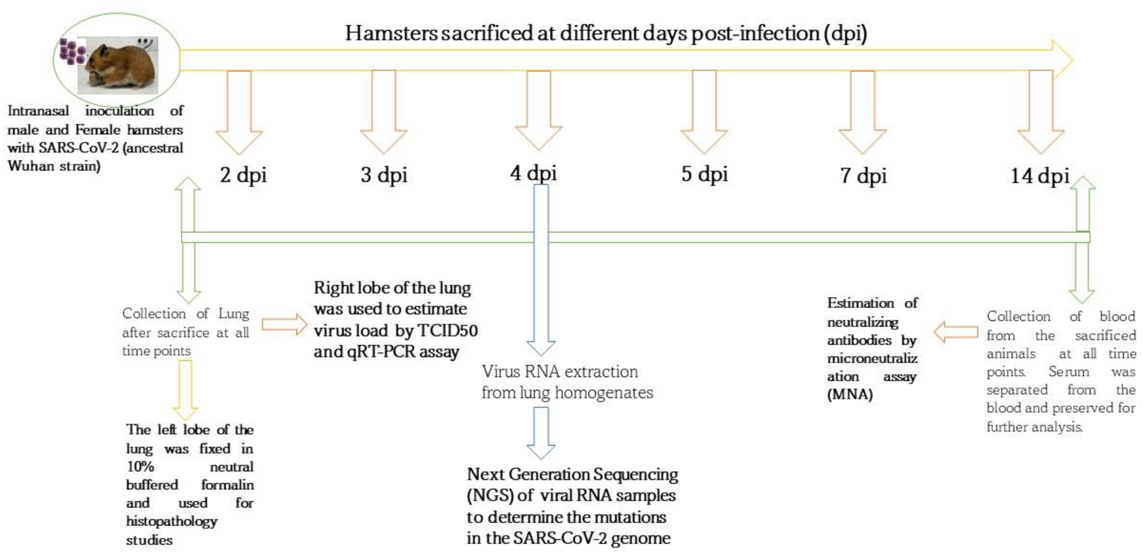 Pathogens 12 01328 g001