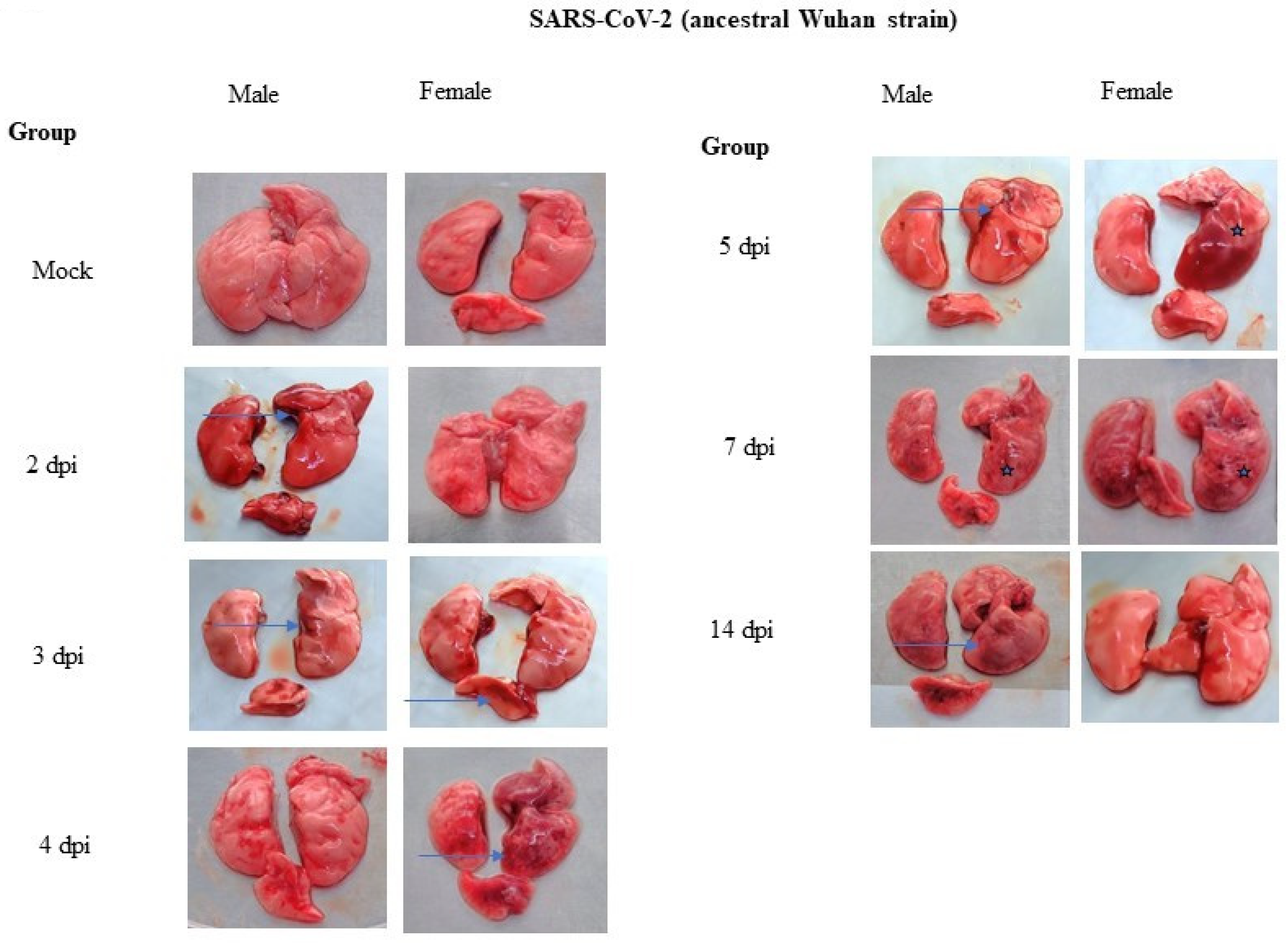 Pathogens 12 01328 g005