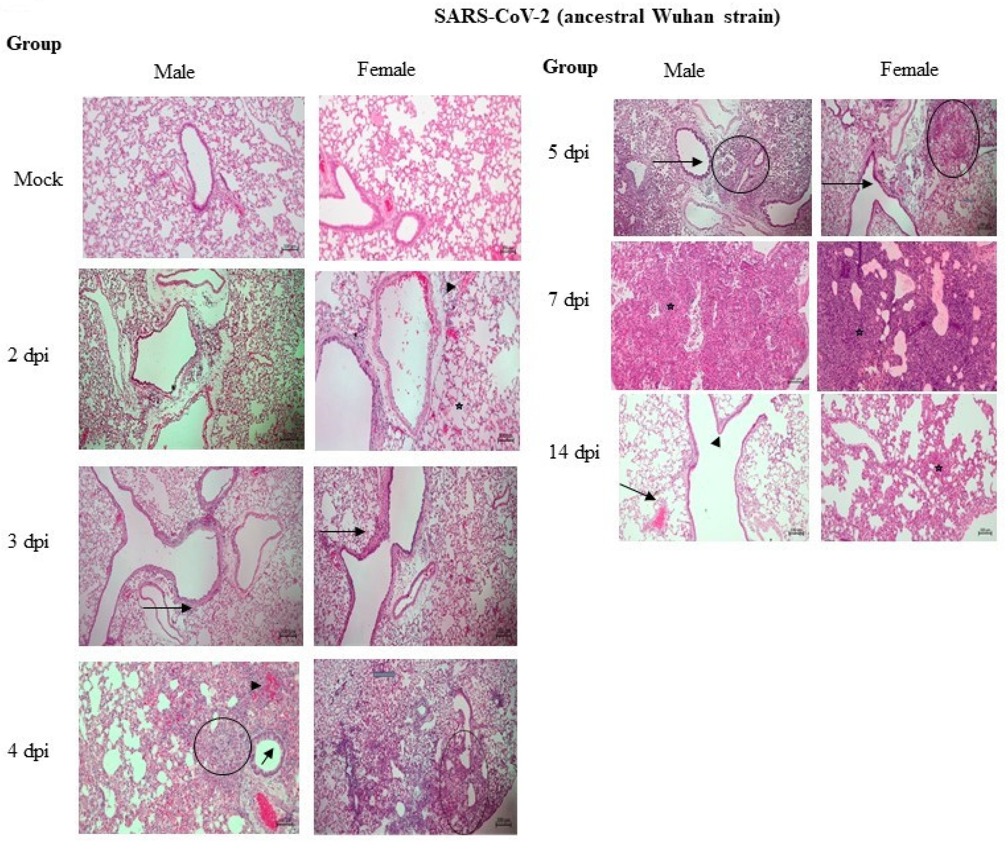 Pathogens 12 01328 g006