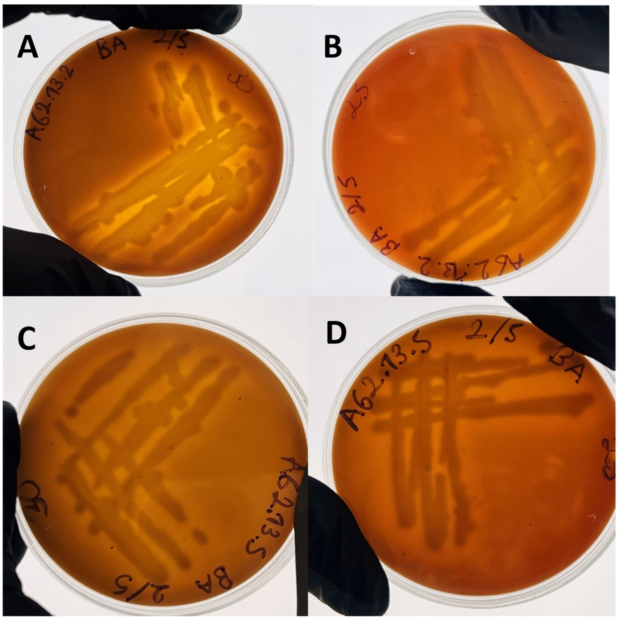 Pathogens 12 01337 g007 Pathogens 12 01337 g007