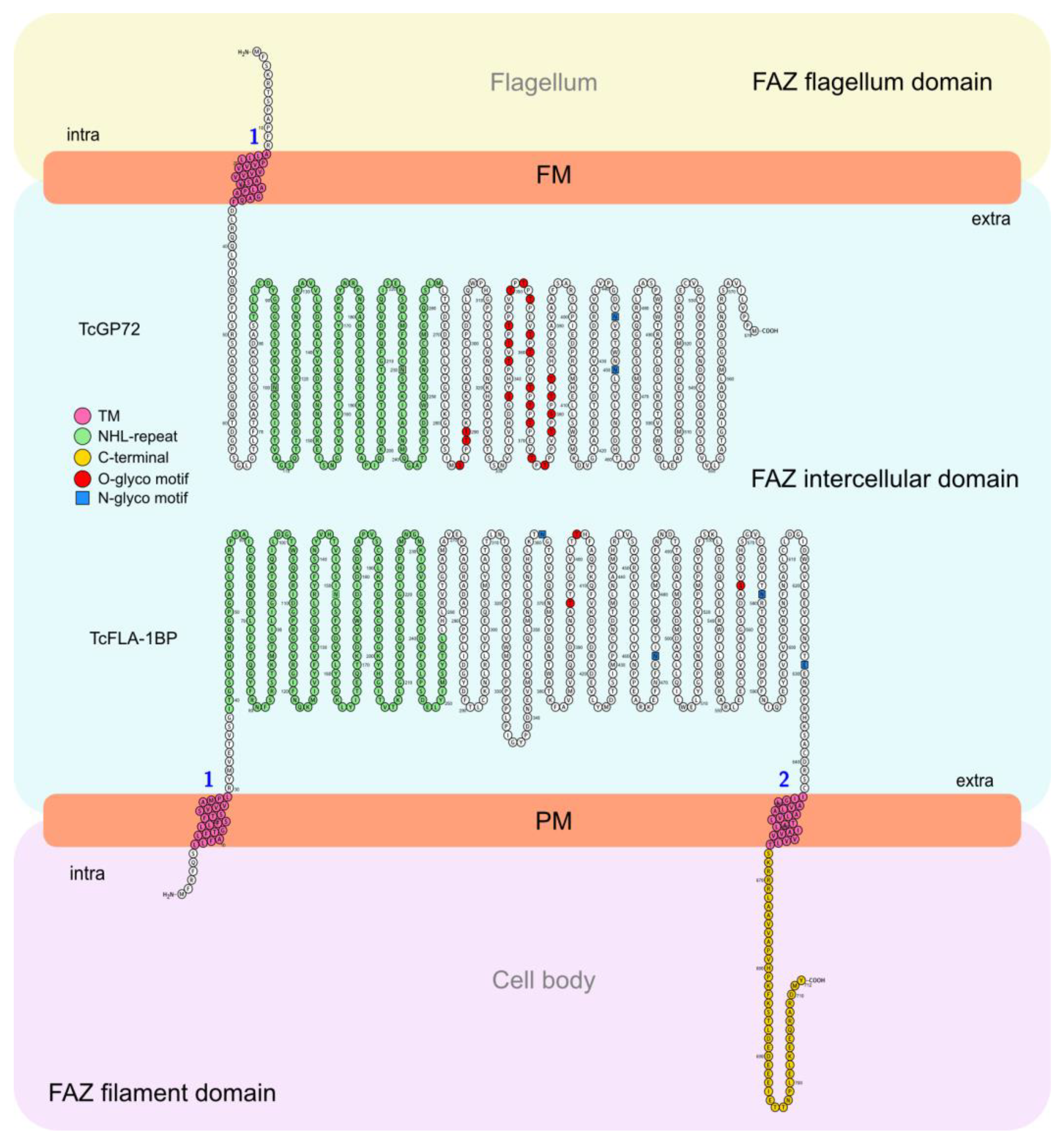 Pathogens 12 01367 g010