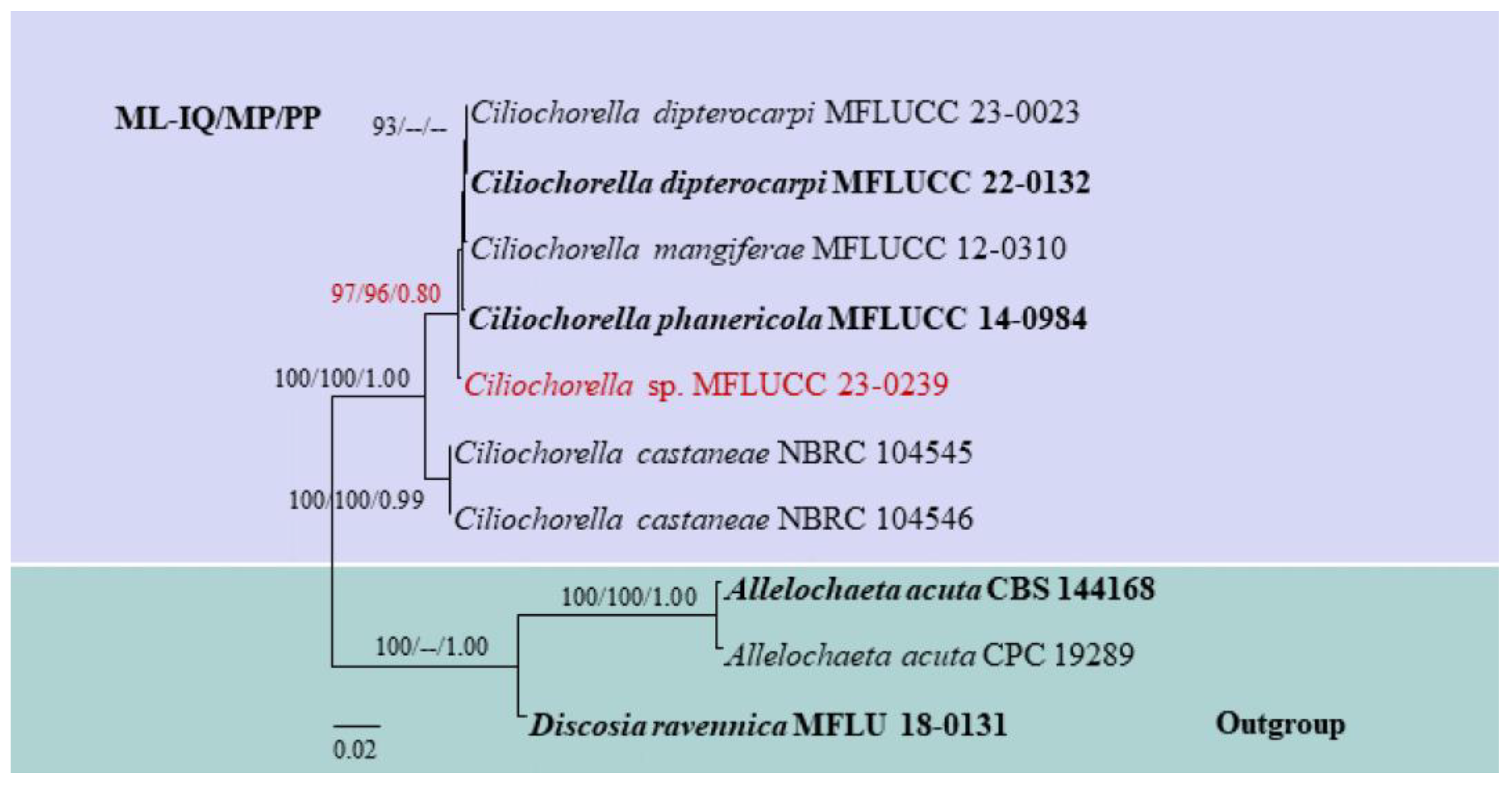 Pathogens 12 01407 g001