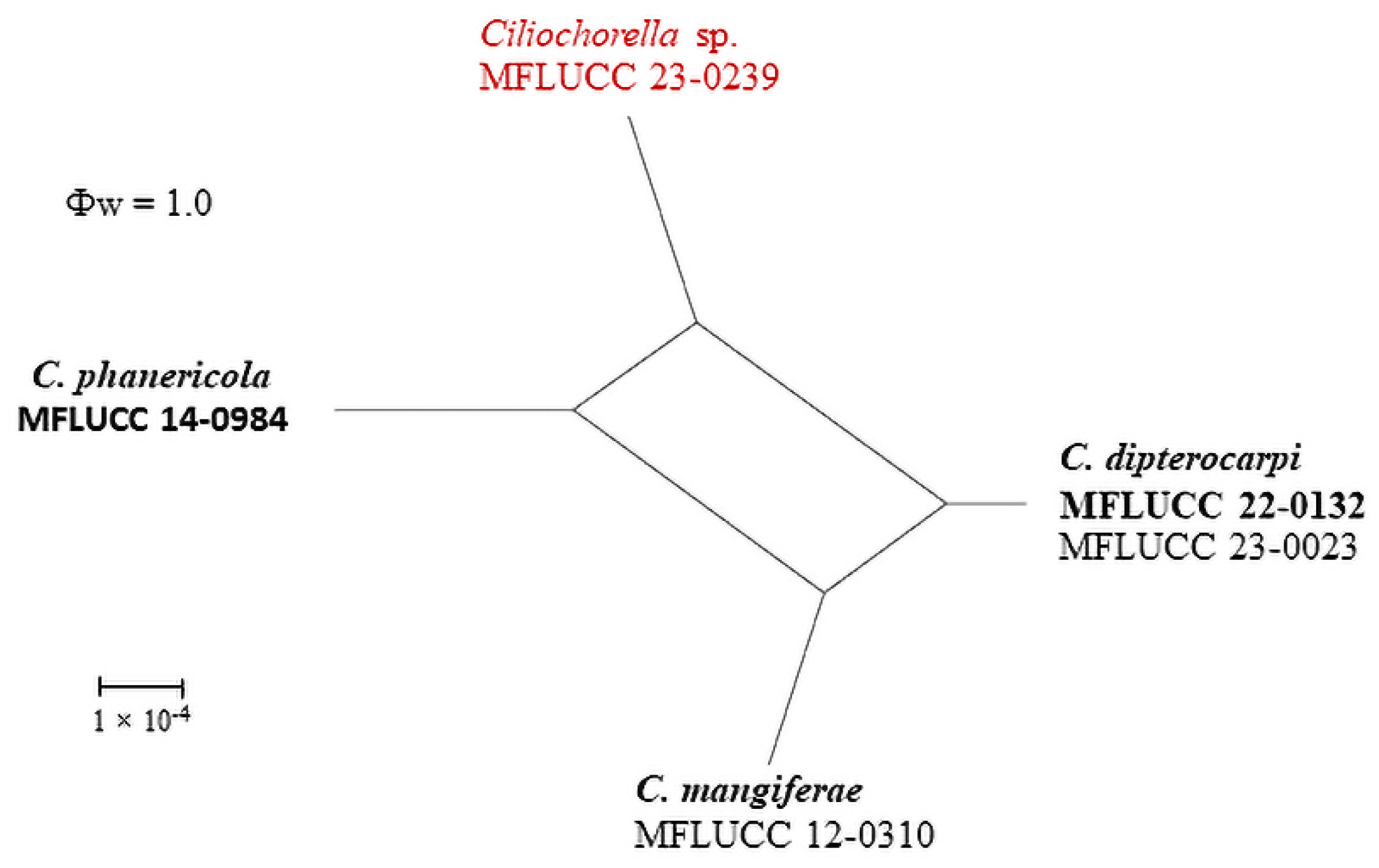 Pathogens 12 01407 g002
