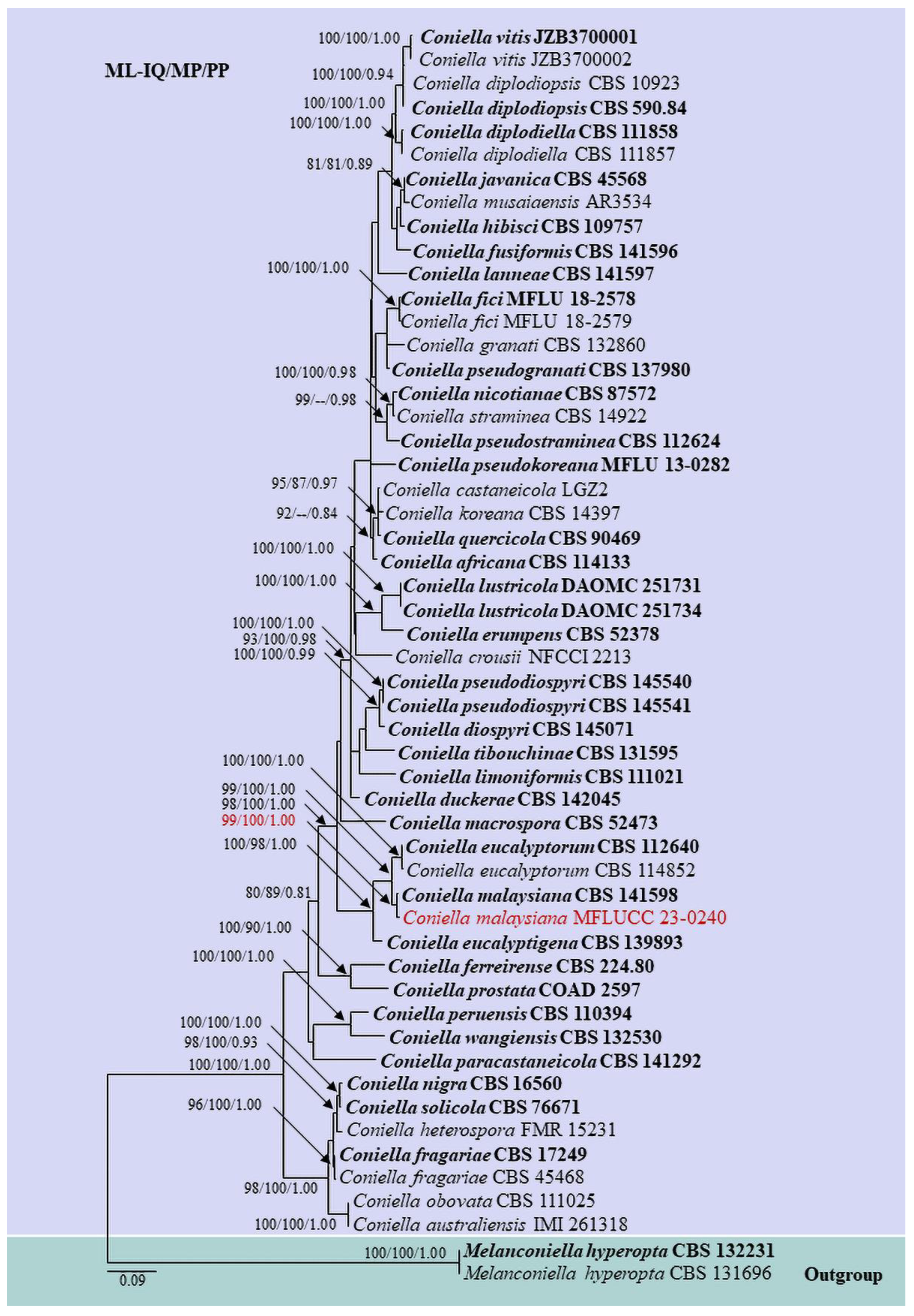 Pathogens 12 01407 g003