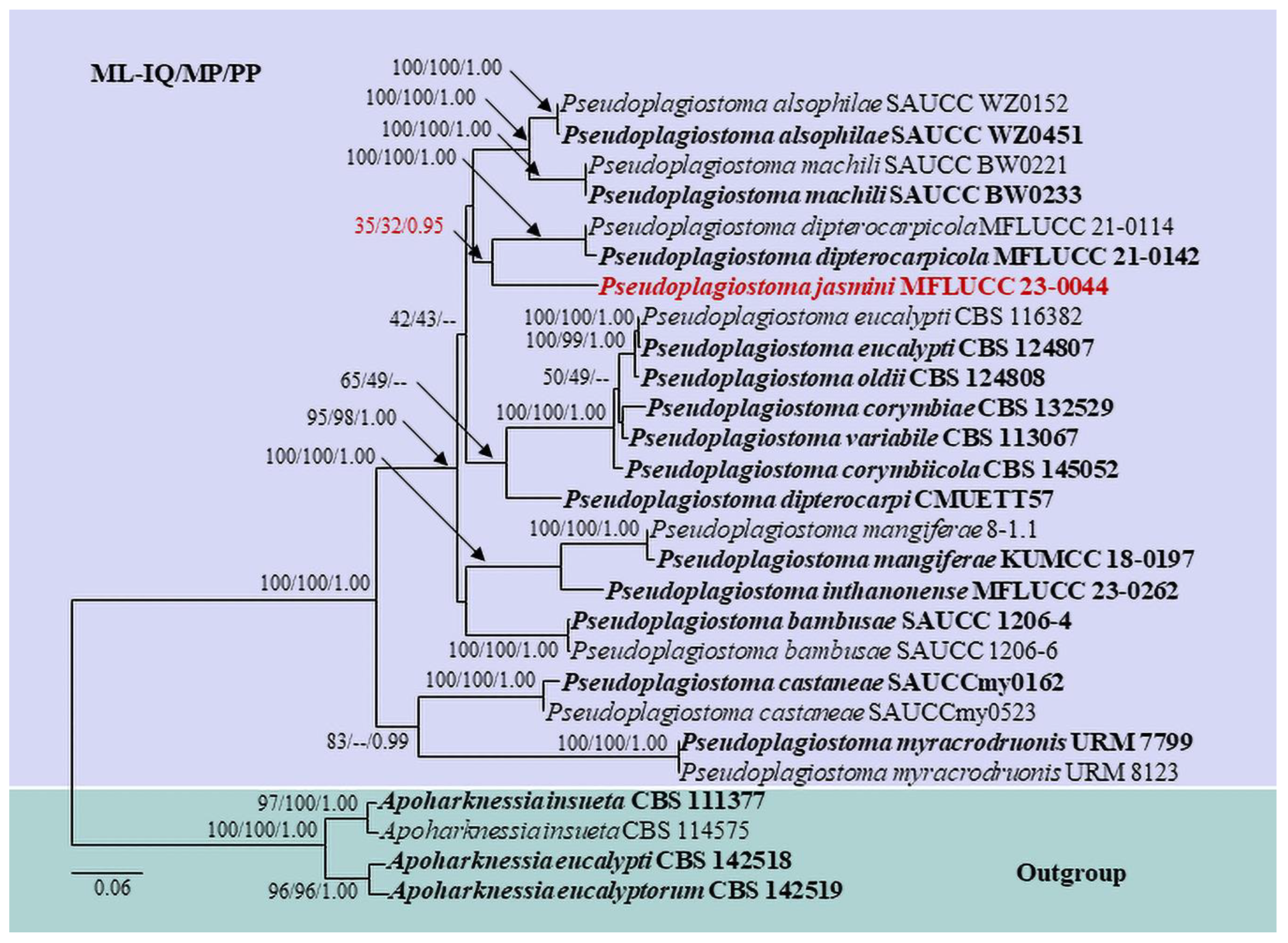 Pathogens 12 01407 g004