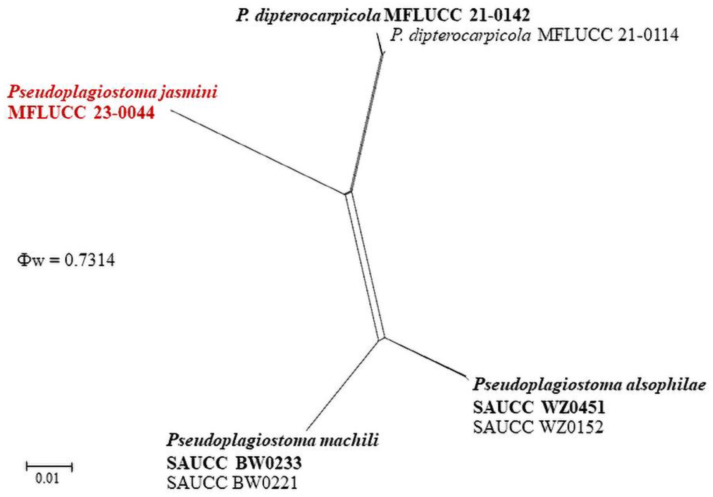 Pathogens 12 01407 g005