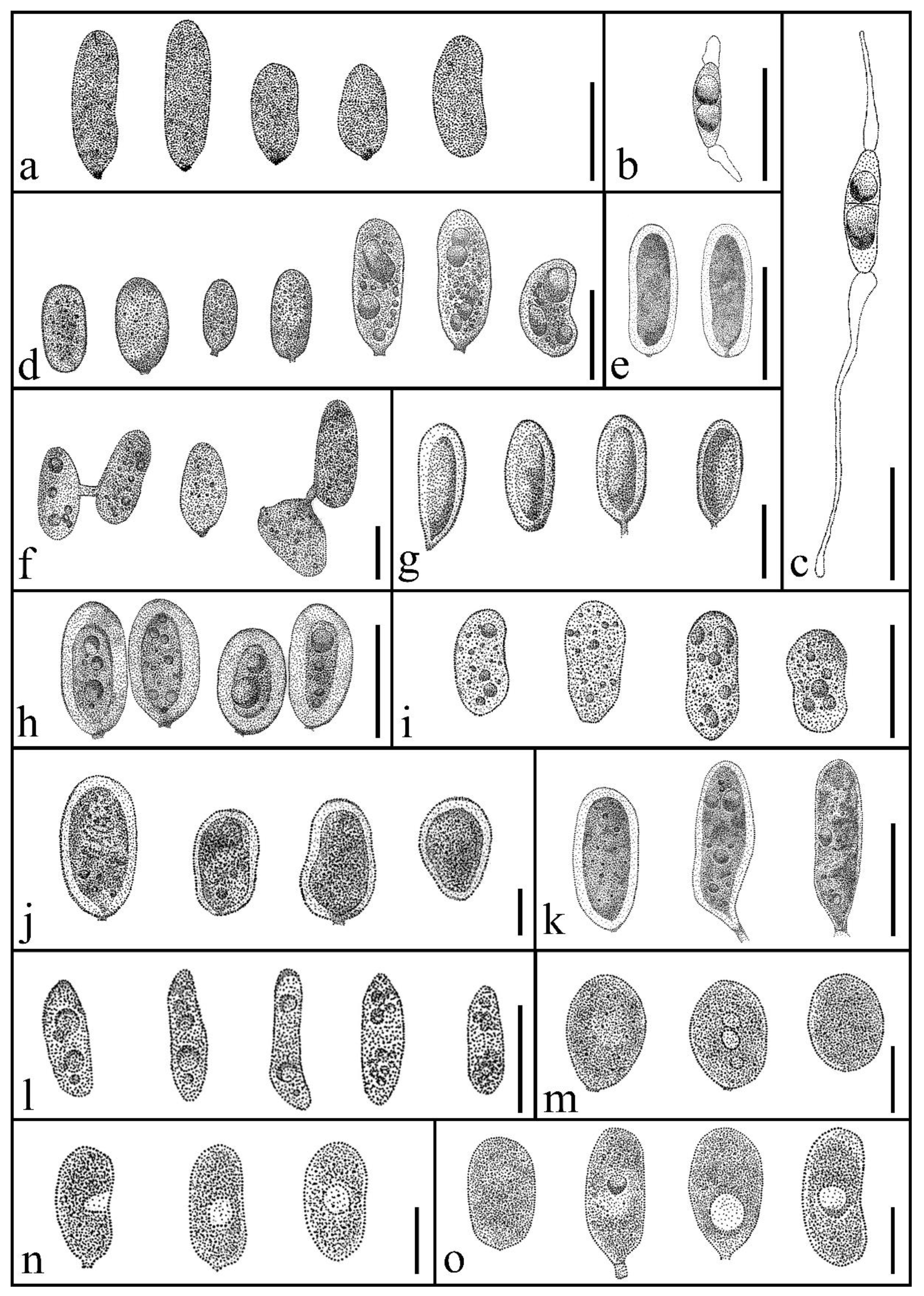 Pathogens 12 01407 g009