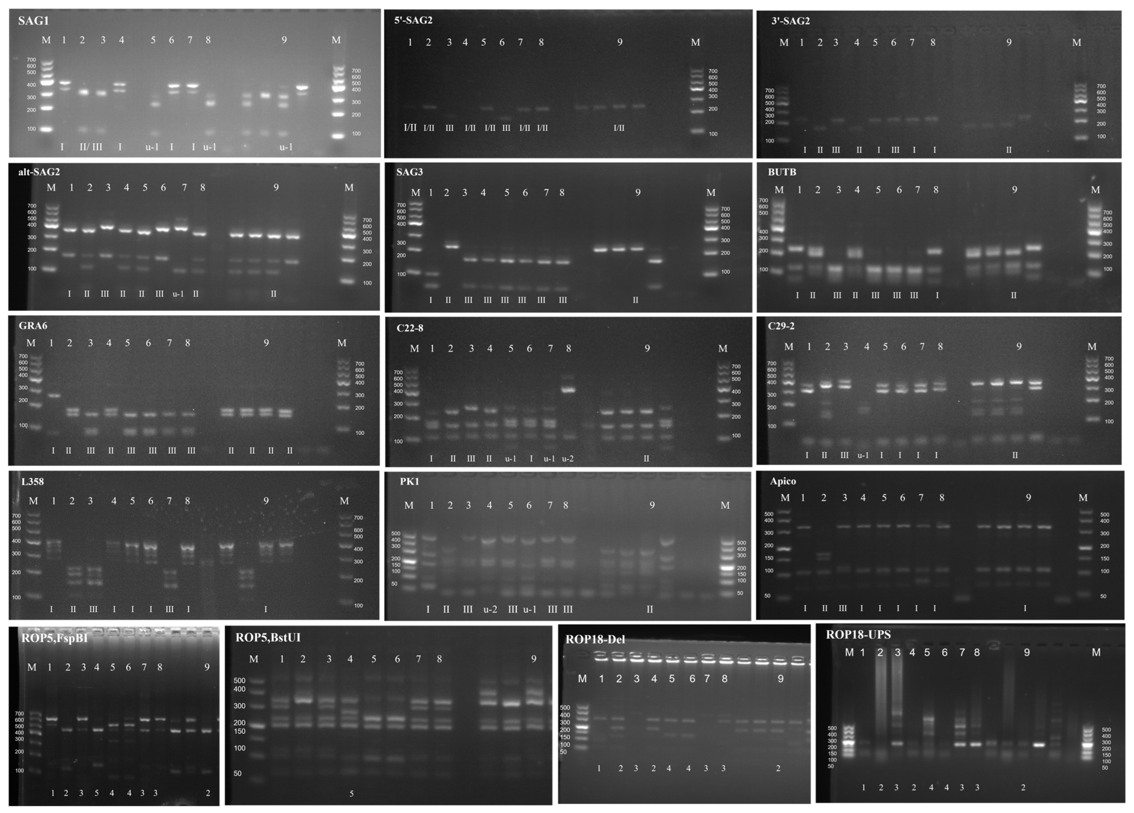 Pathogens 12 01412 g003
