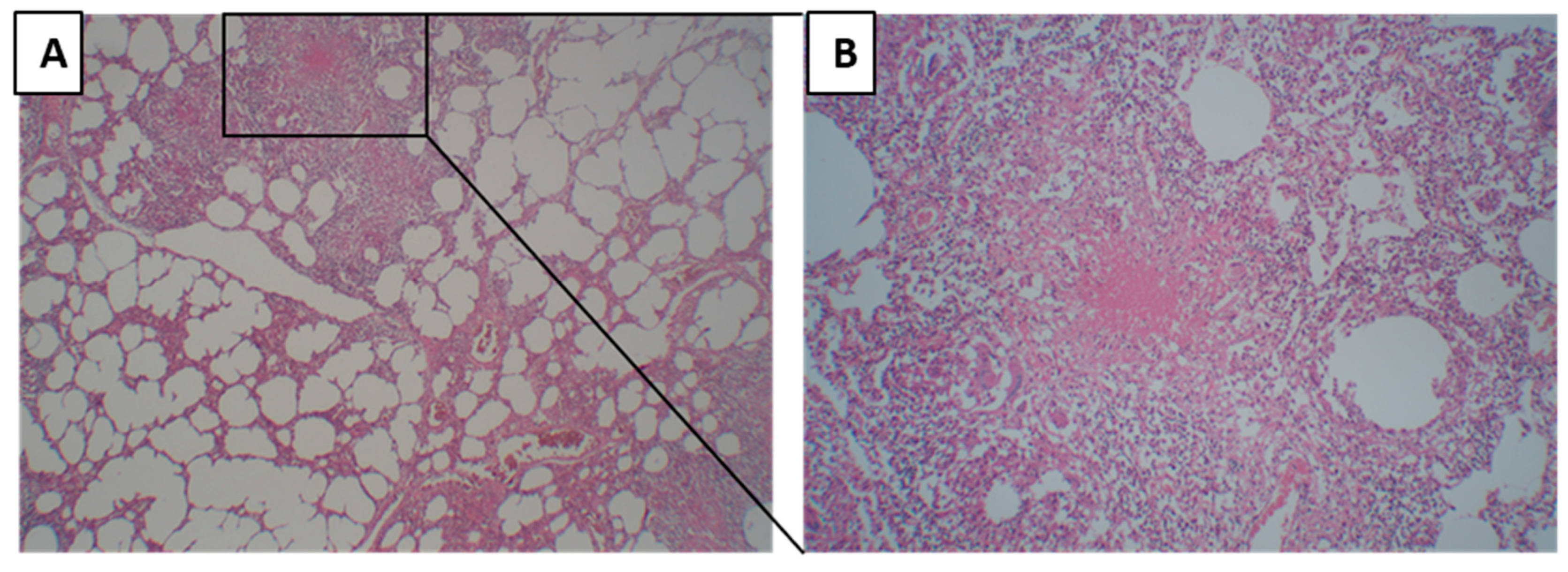 Pathogens 12 01426 g002